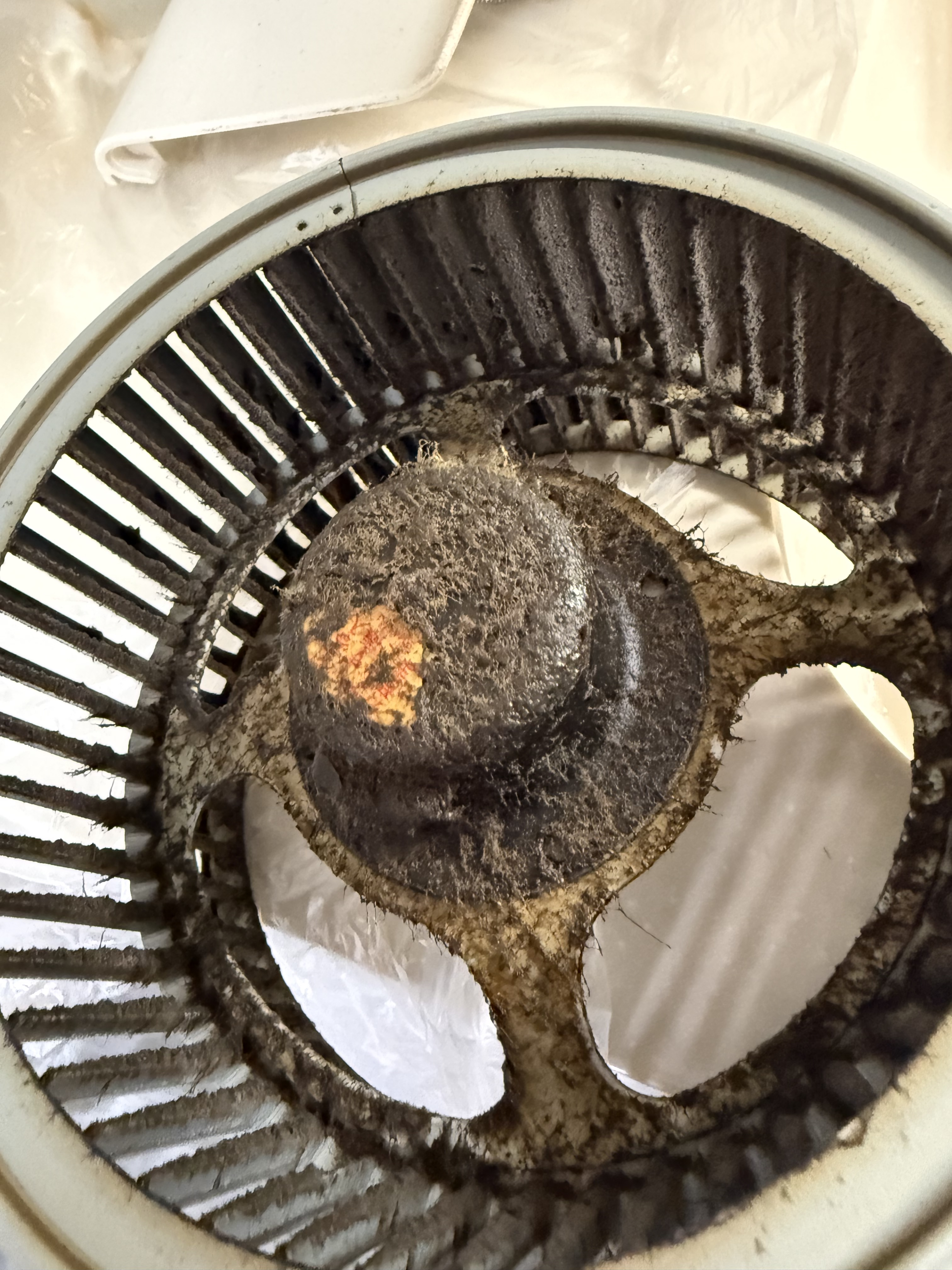 千葉県八千代市のレンジフードクリーニングの作業前2