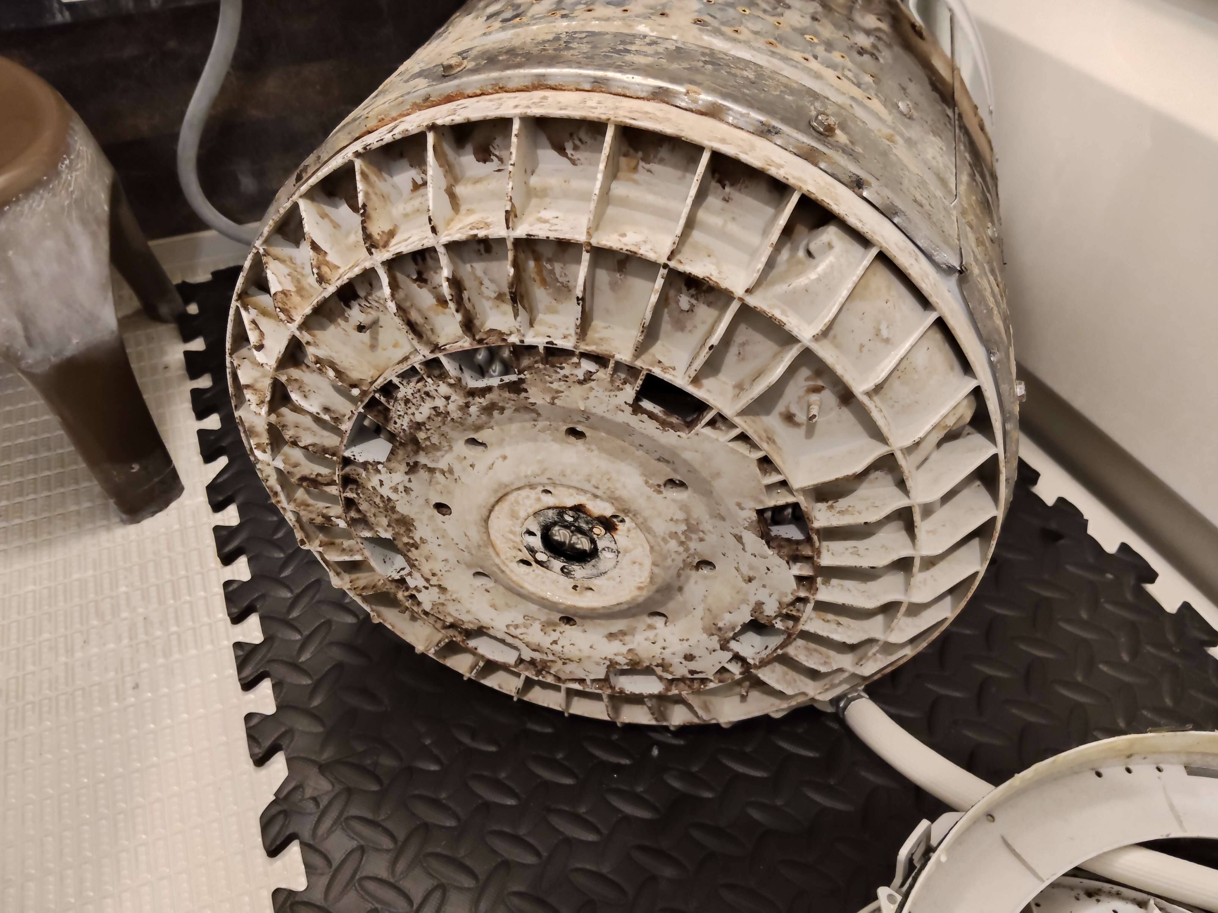 神奈川県横浜市戸塚区の洗濯機分解クリーニングの作業前2