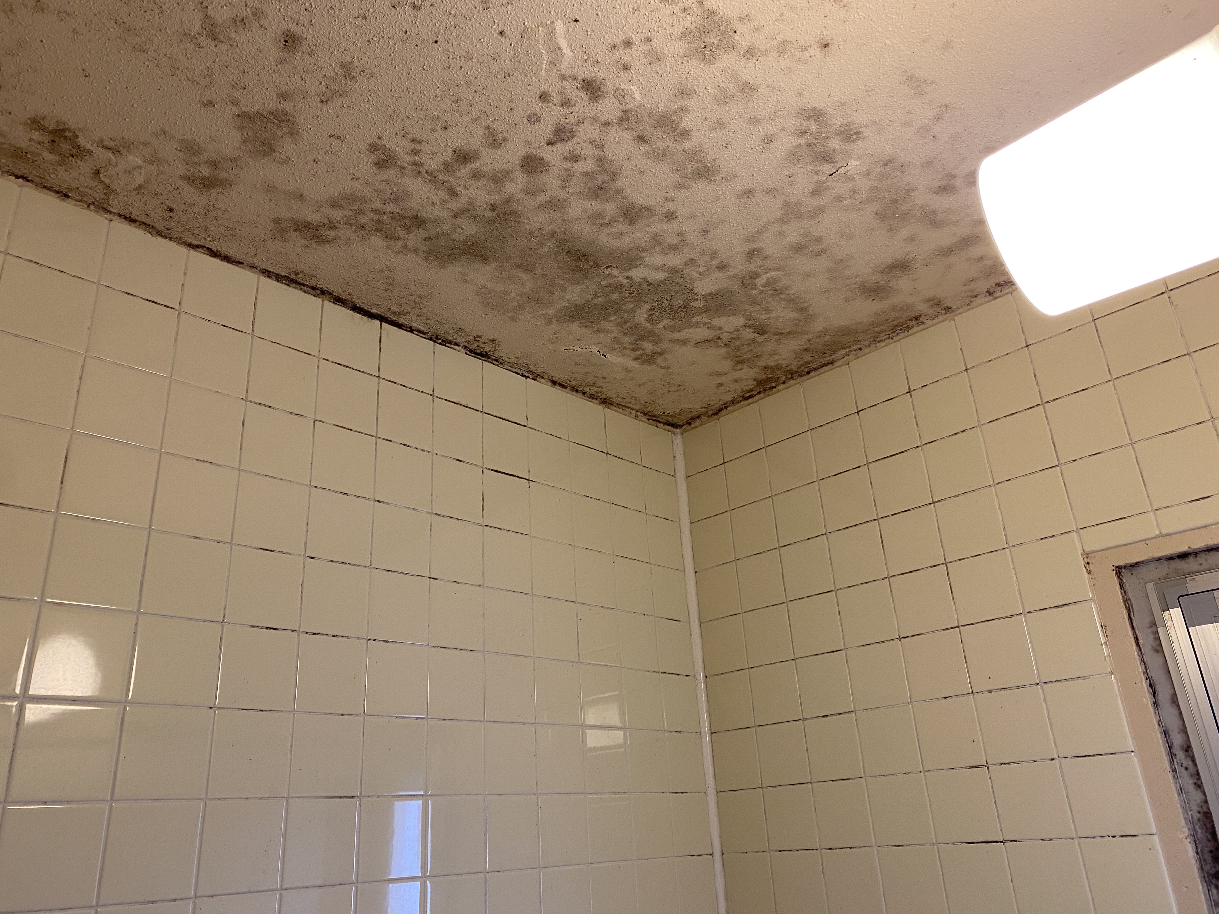 千葉県八千代市の浴室・お風呂クリーニングの作業前1