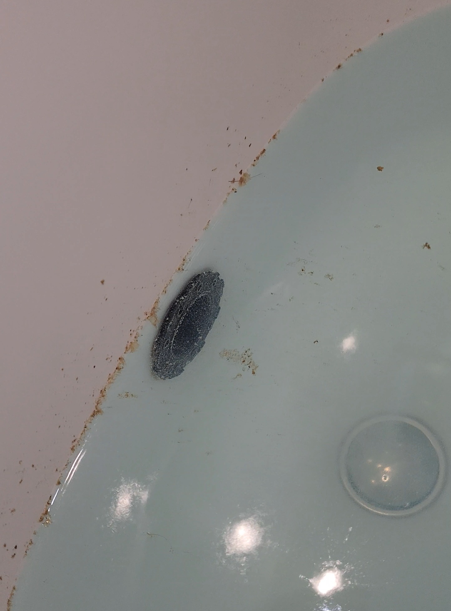 茨城県結城市の追い焚き配管除菌洗浄の作業後2