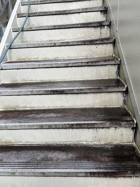 愛知県豊田市竜神町のビル・マンション共用部清掃の作業前1