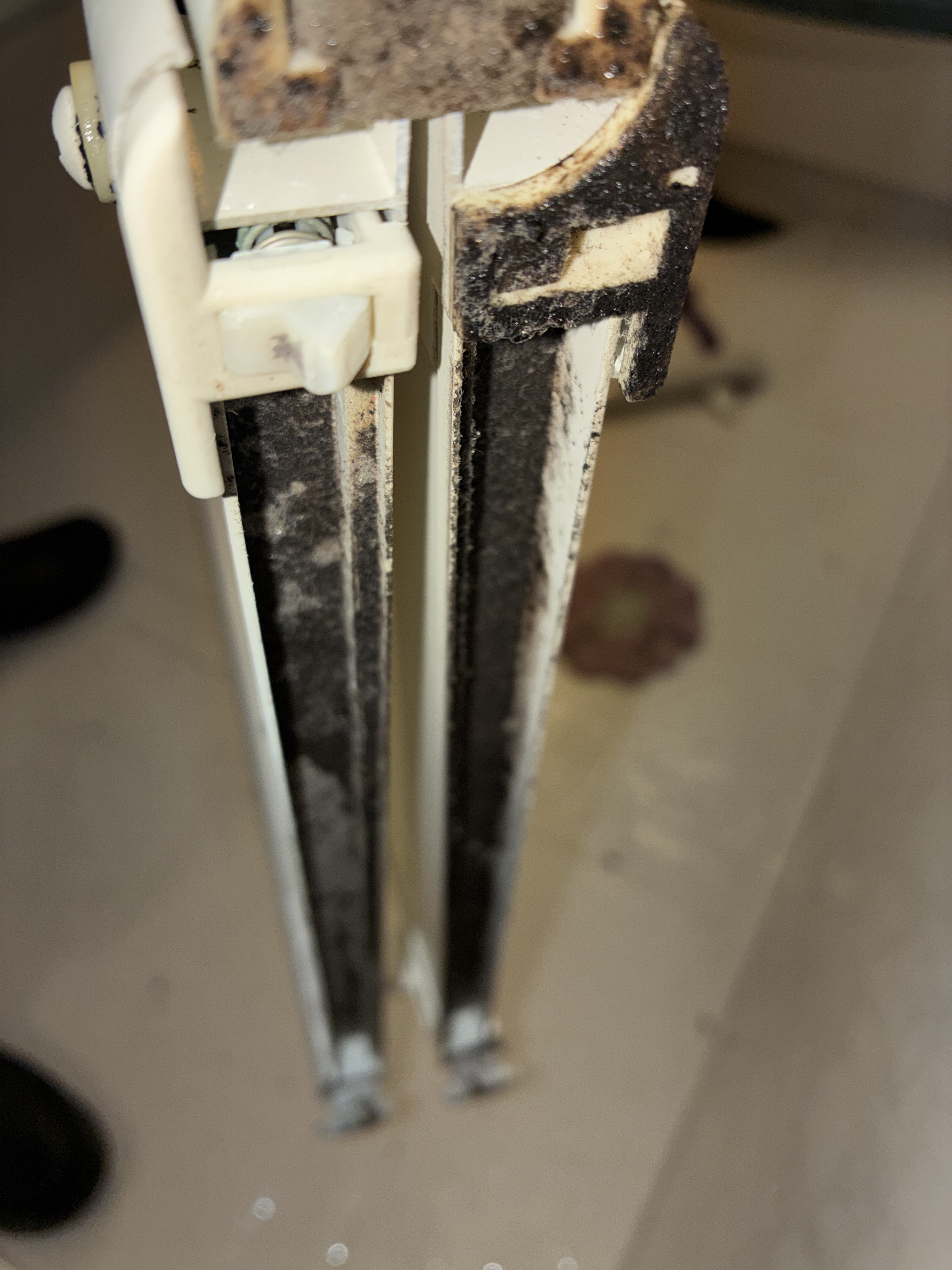 大阪府堺市中区の浴室・お風呂クリーニングの作業前2