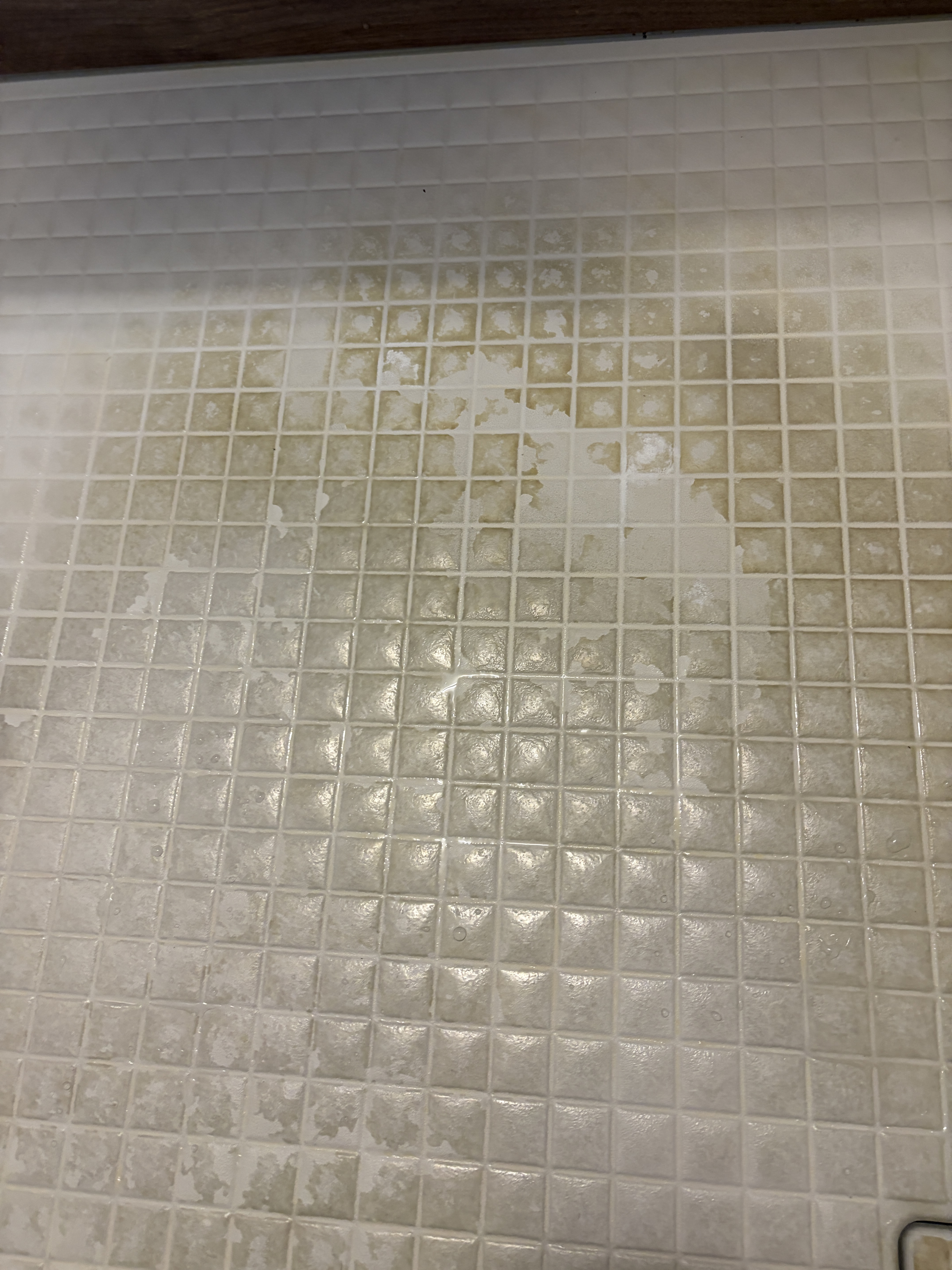 神奈川県海老名市河原口の浴室・お風呂クリーニングの作業前1