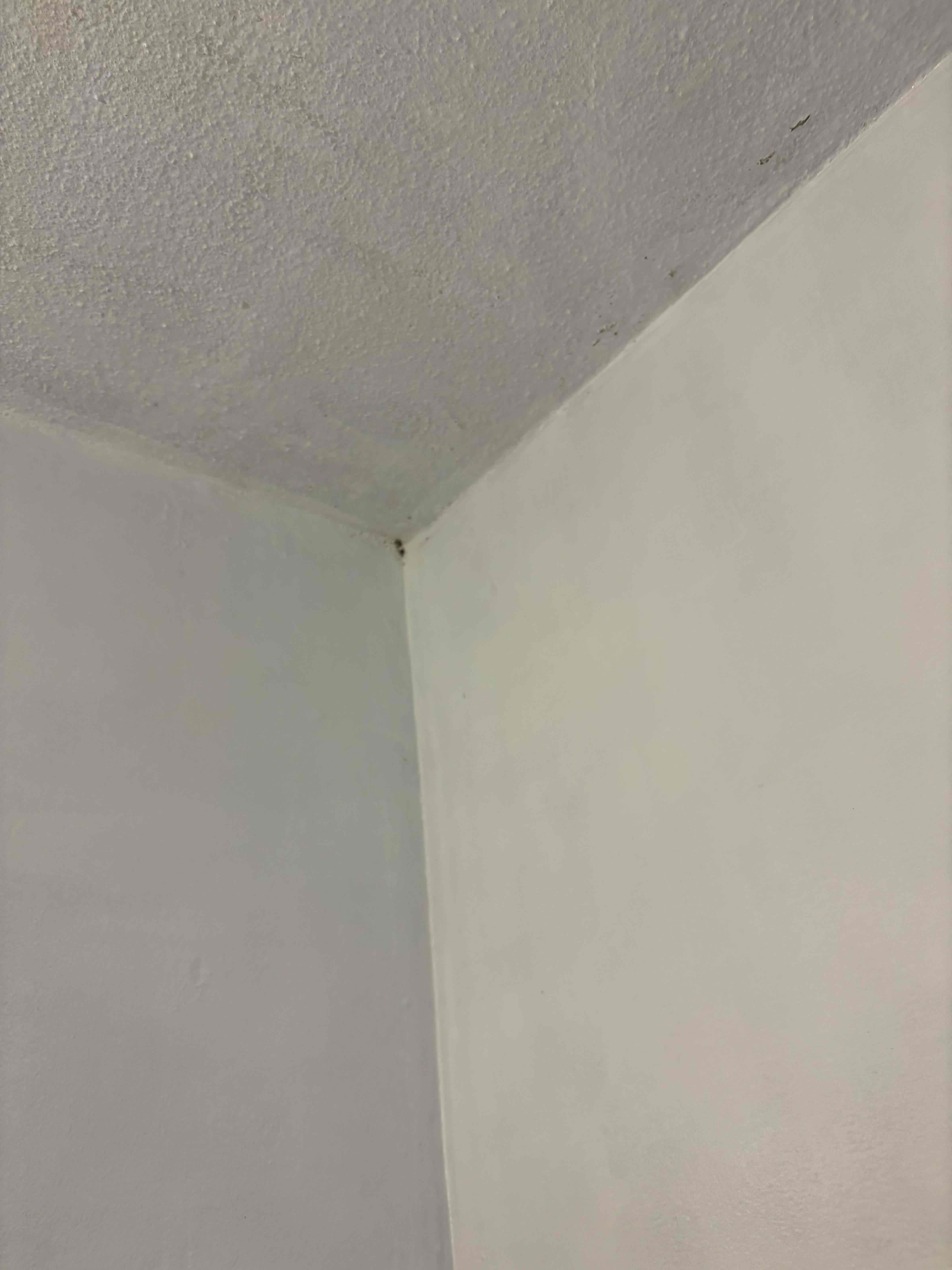 大阪府堺市北区の浴室・お風呂クリーニングの作業後1