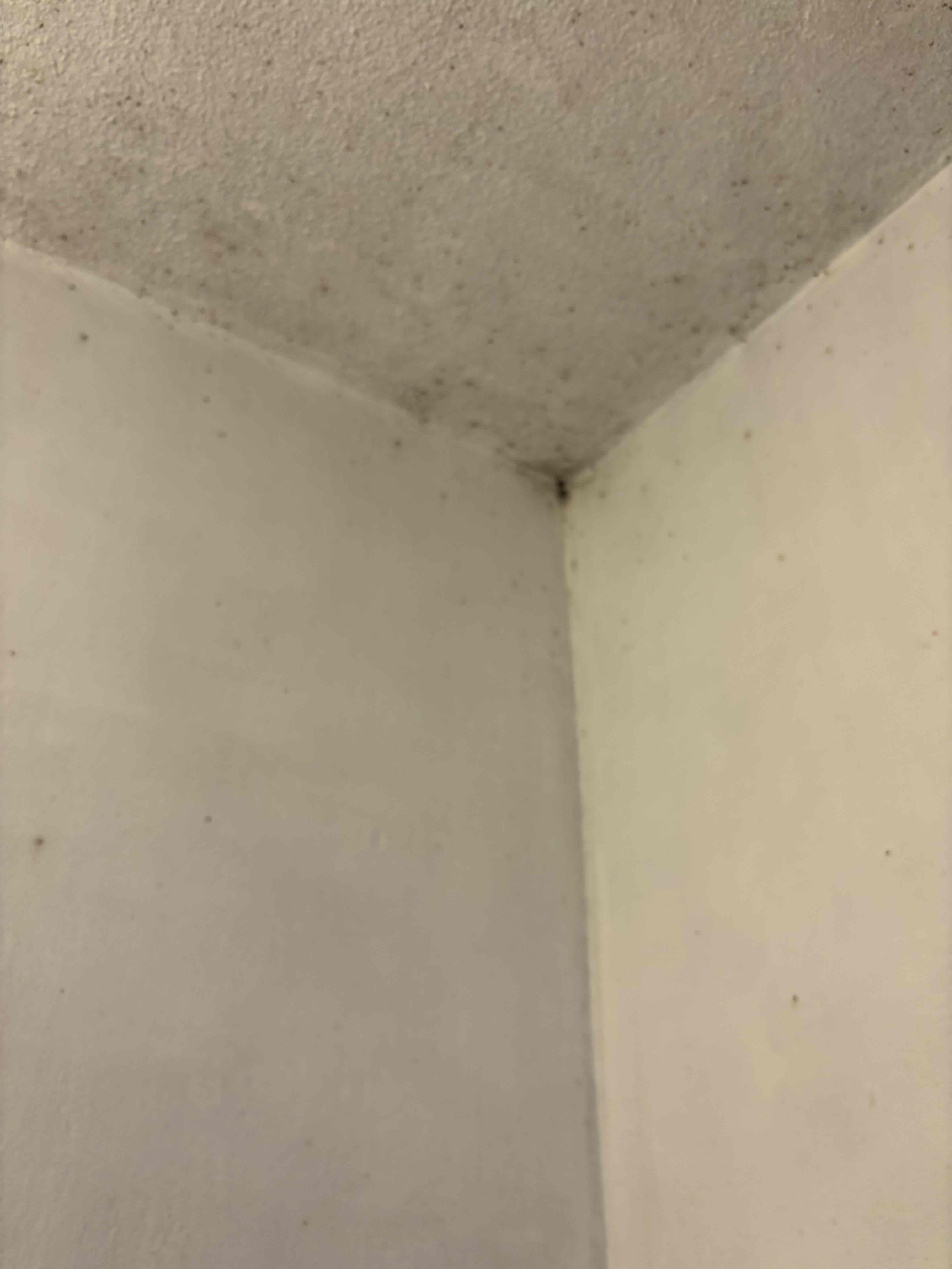 大阪府堺市北区の浴室・お風呂クリーニングの作業前1