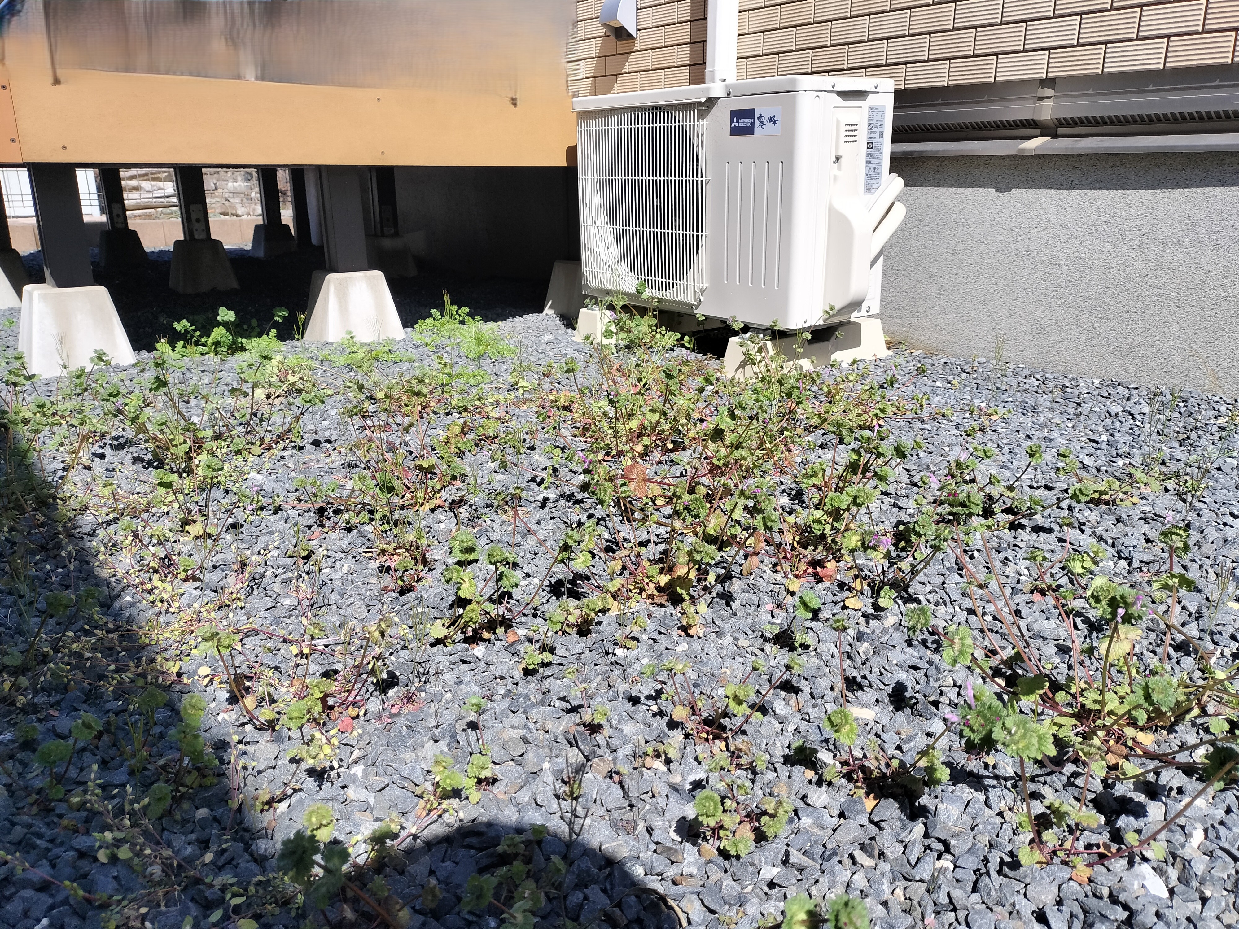 茨城県つくば市の何でもわがまま定額サービスの作業前1