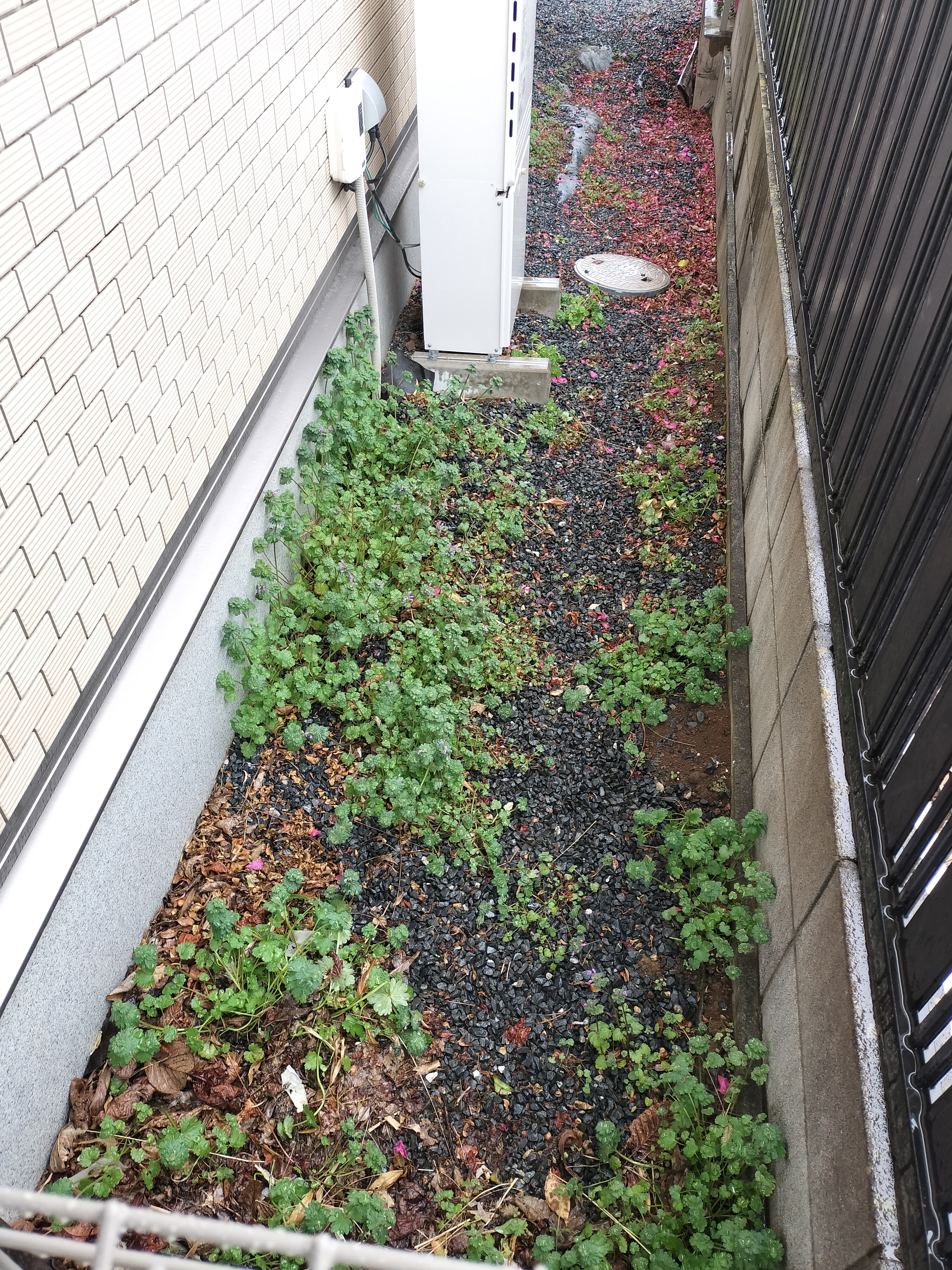 茨城県つくば市の何でもわがまま定額サービスの作業前2