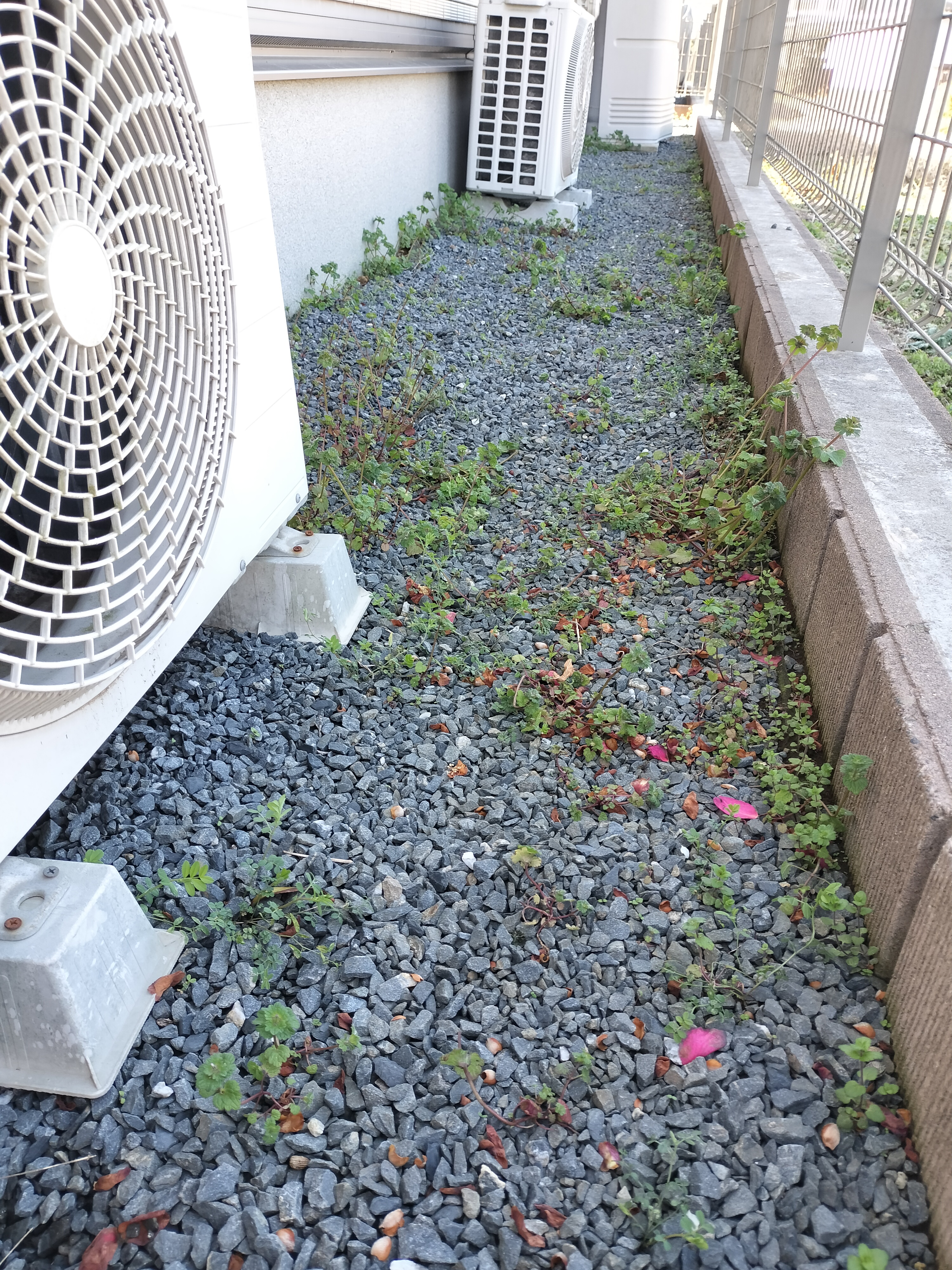 茨城県つくば市の何でもわがまま定額サービスの作業前3