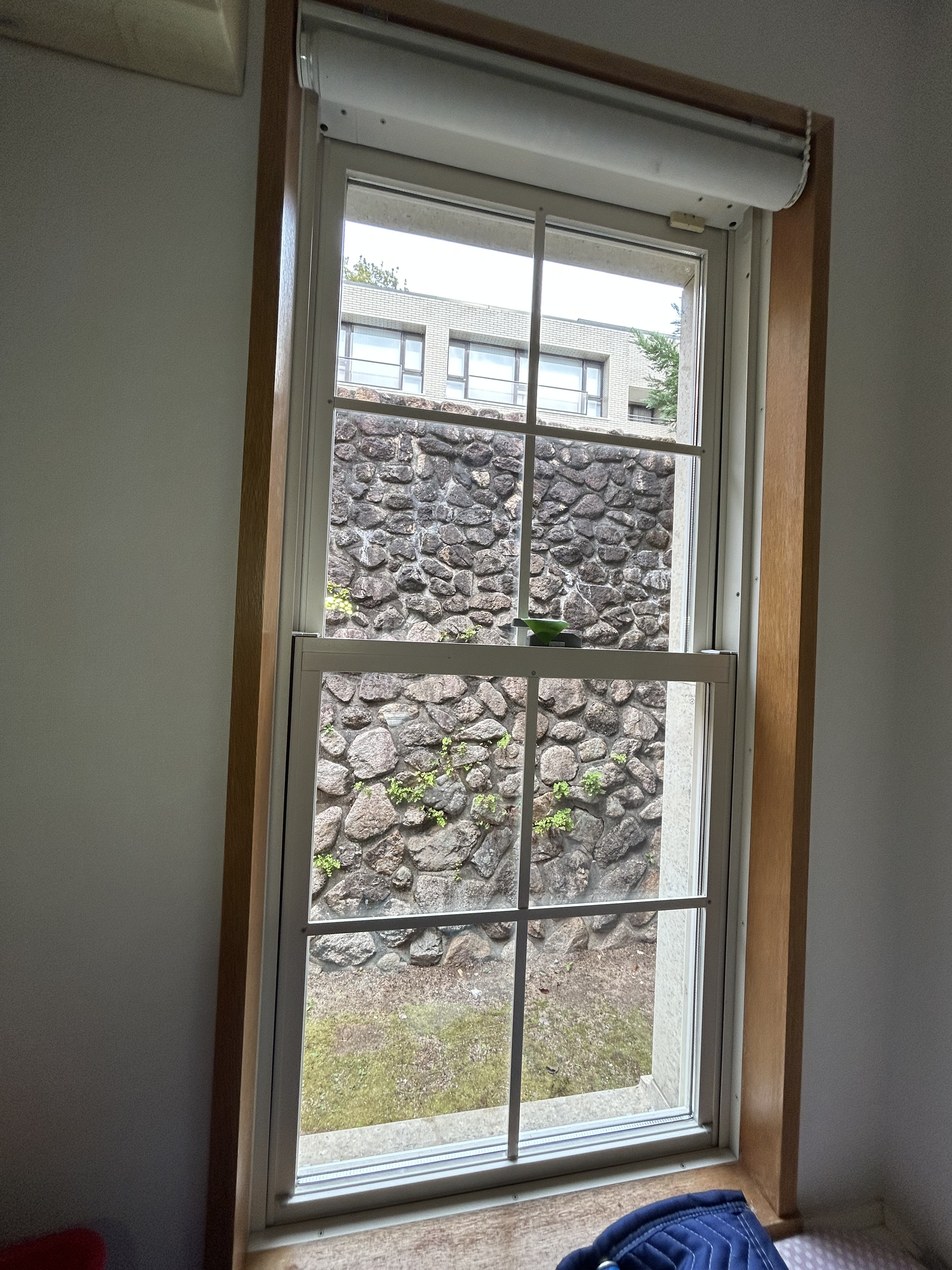 兵庫県神戸市東灘区の窓ガラス・サッシクリーニングの作業後1