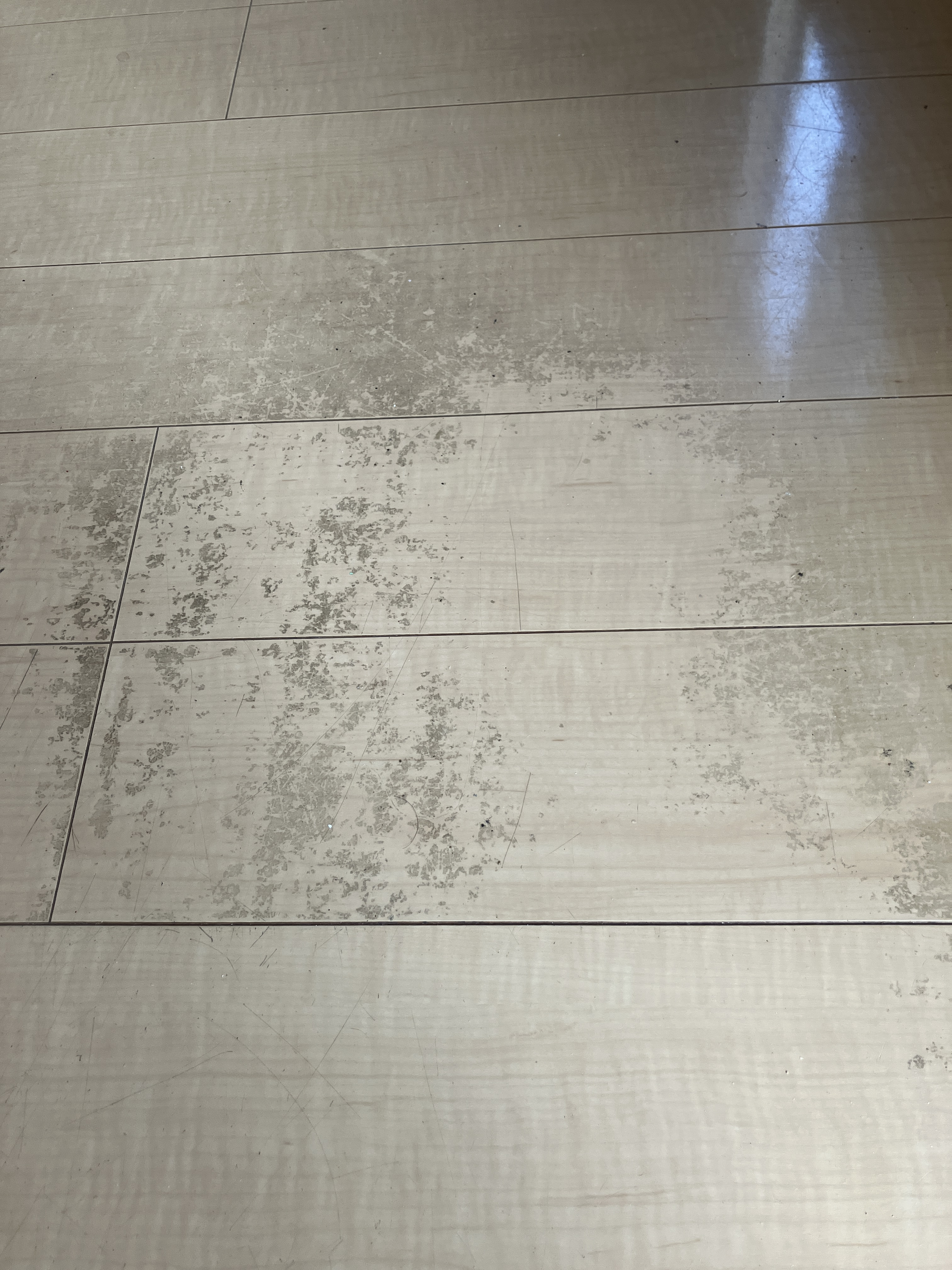 福島県いわき市常磐の賃貸住宅退去後の原状回復クリーニングの作業前1