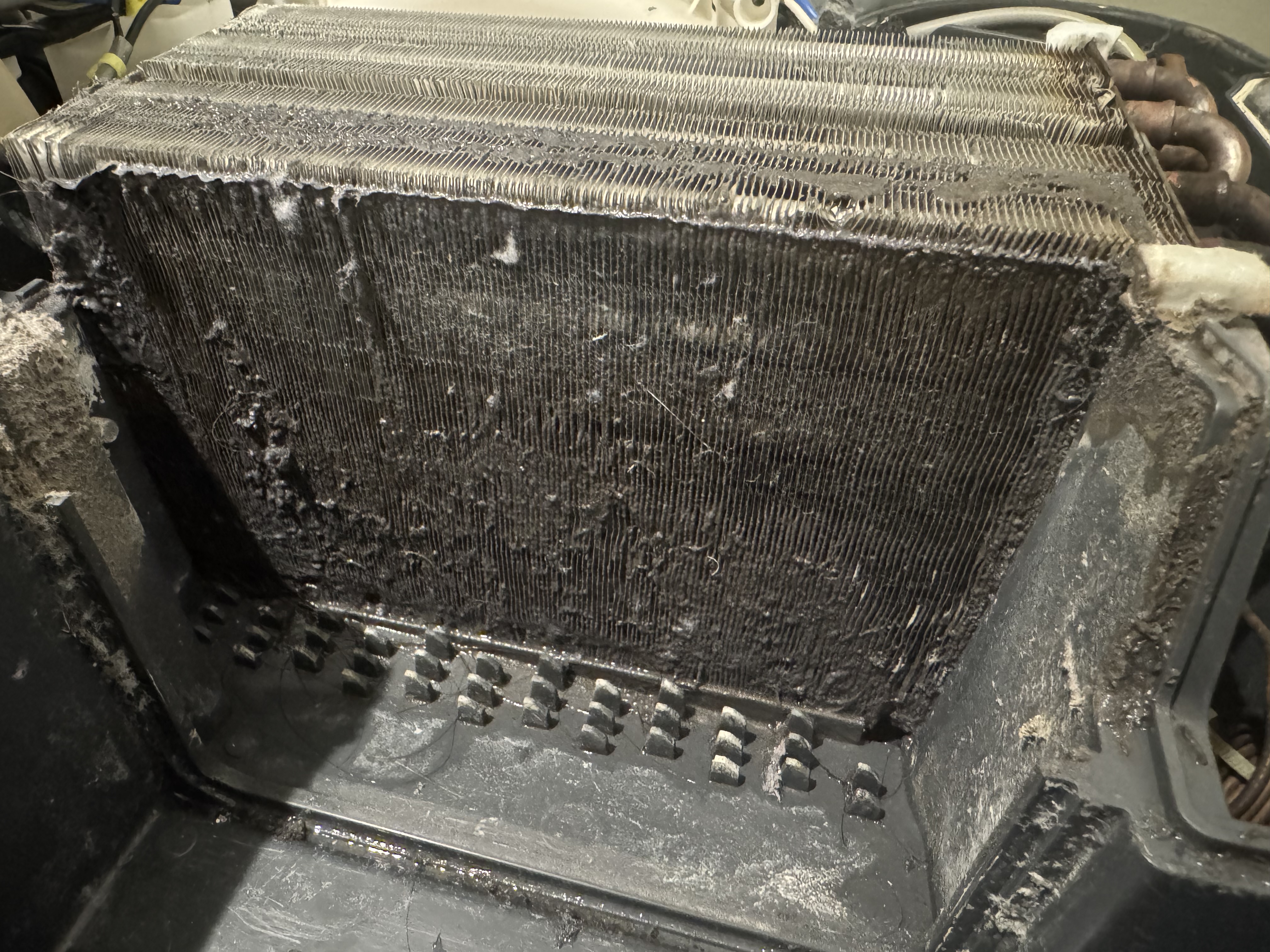 千葉県船橋市東船橋の洗濯機分解クリーニングの作業前1