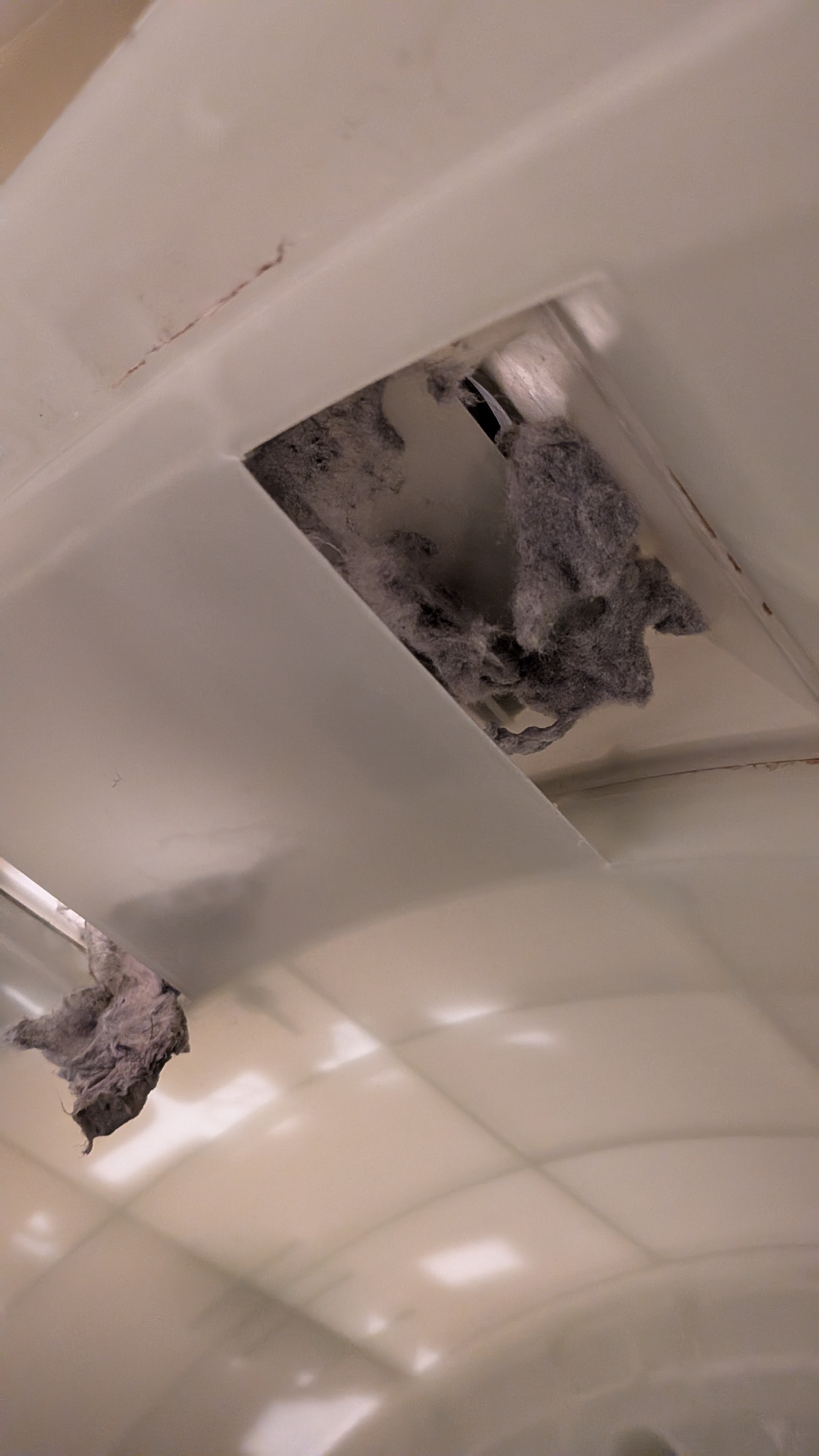 東京都江東区豊洲の洗濯機分解クリーニングの作業前1