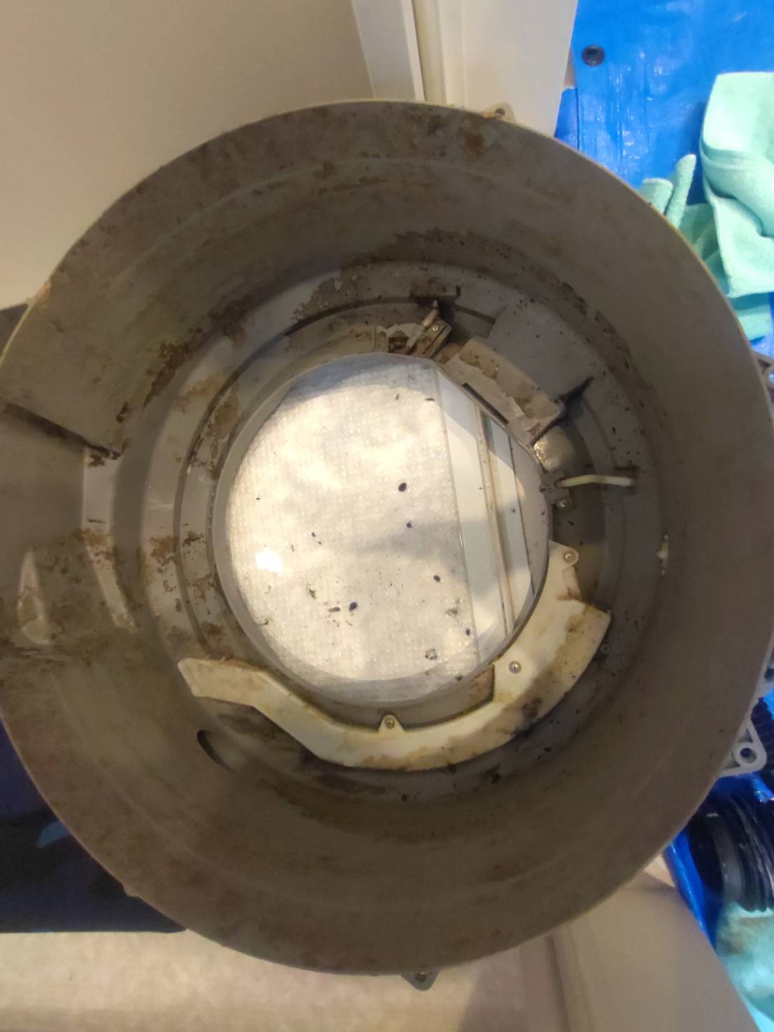 東京都目黒区中目黒の洗濯機分解クリーニングの作業前3