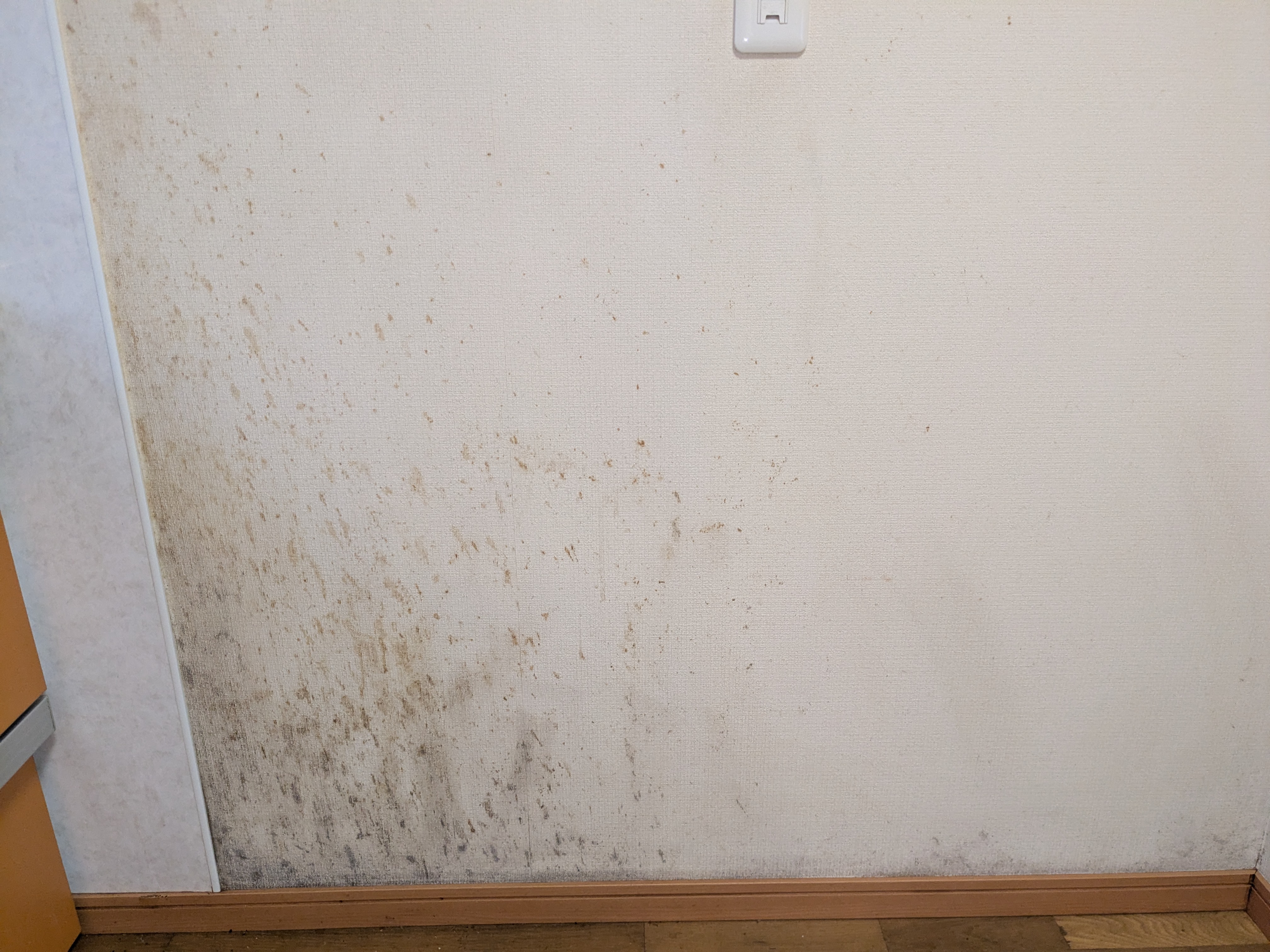 東京都板橋区赤塚の壁紙復元塗装の作業前2