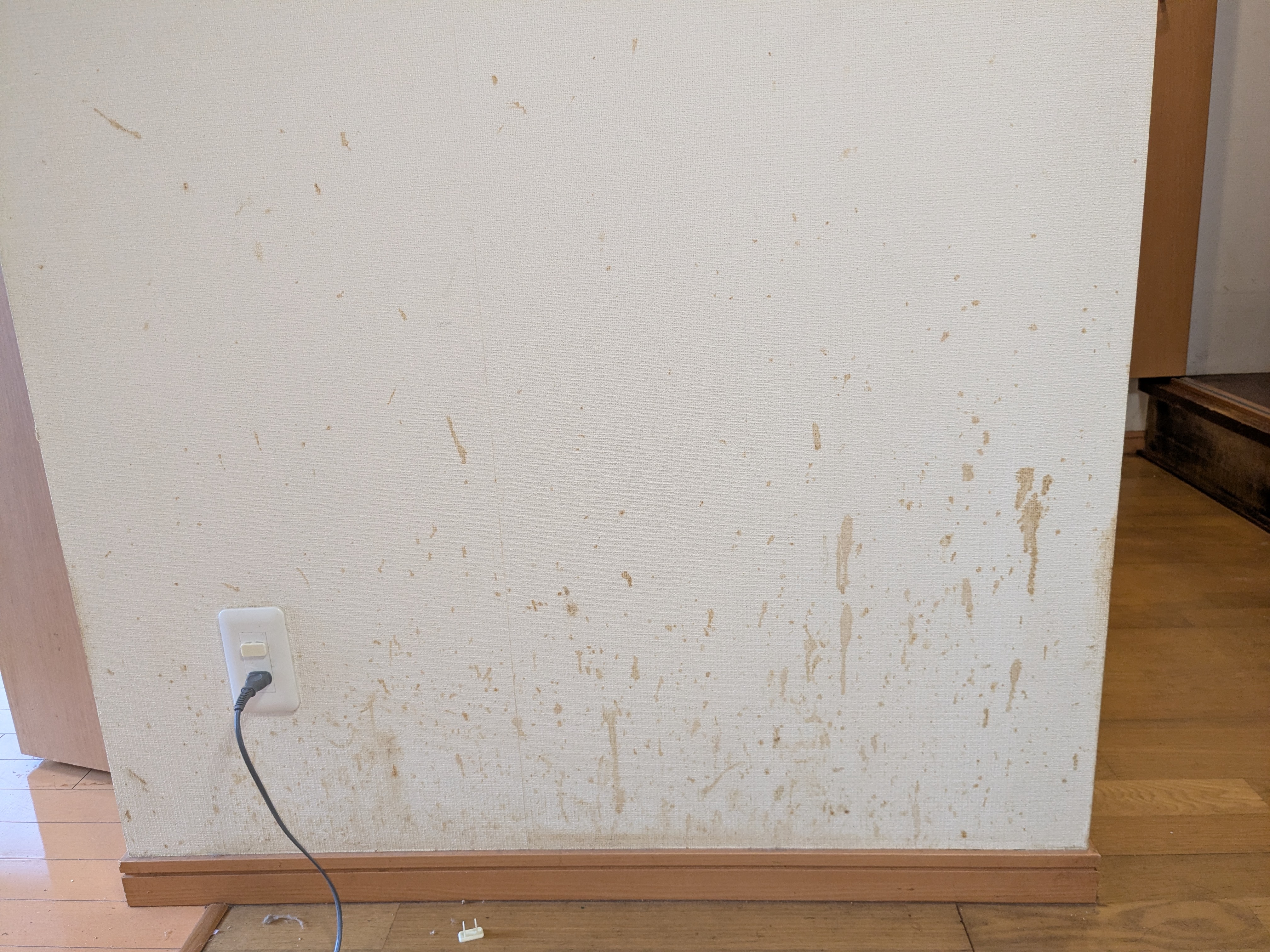 東京都板橋区赤塚の壁紙復元塗装の作業前3