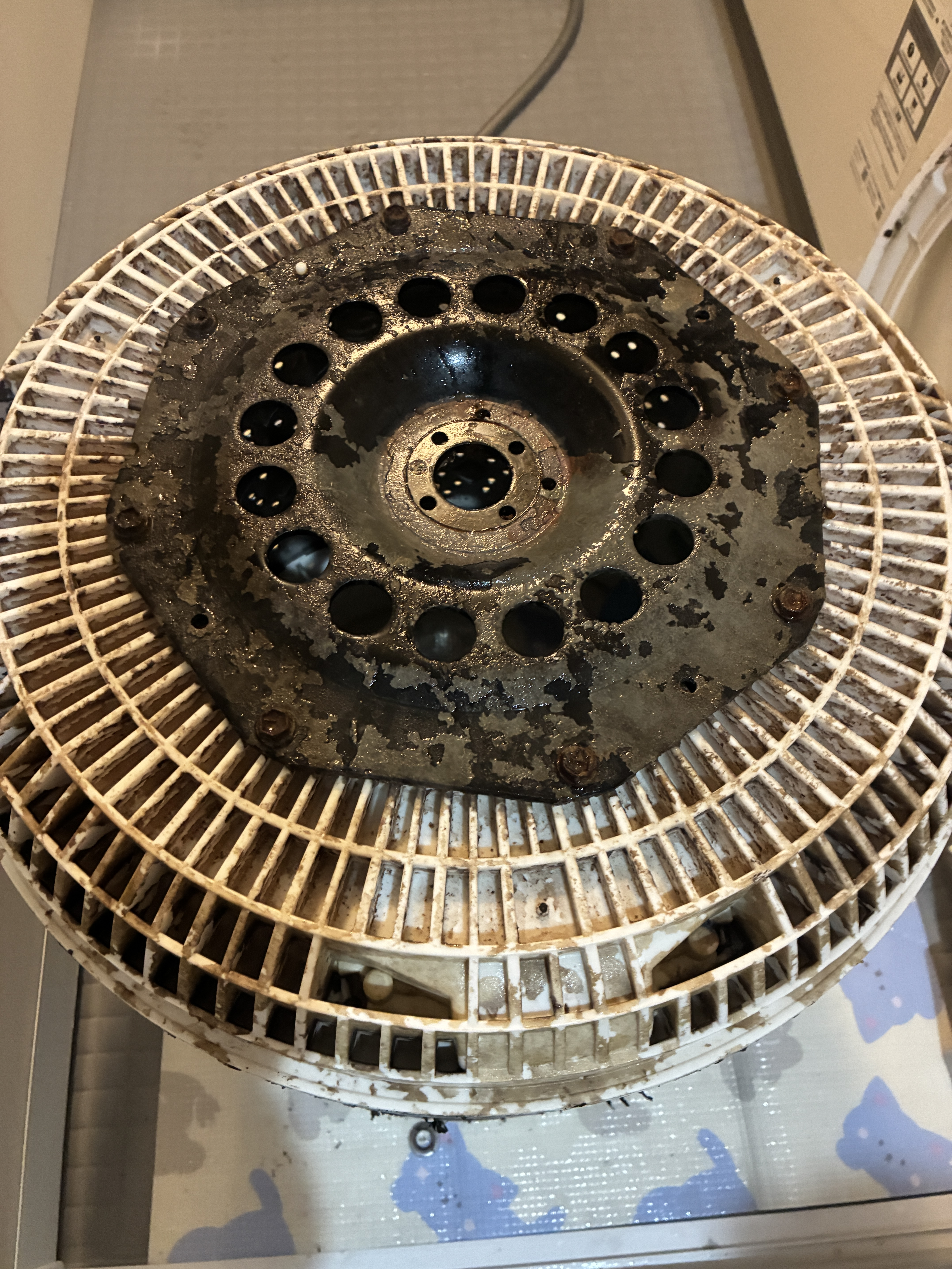 大阪府東大阪市角田の洗濯機分解クリーニングの作業前2