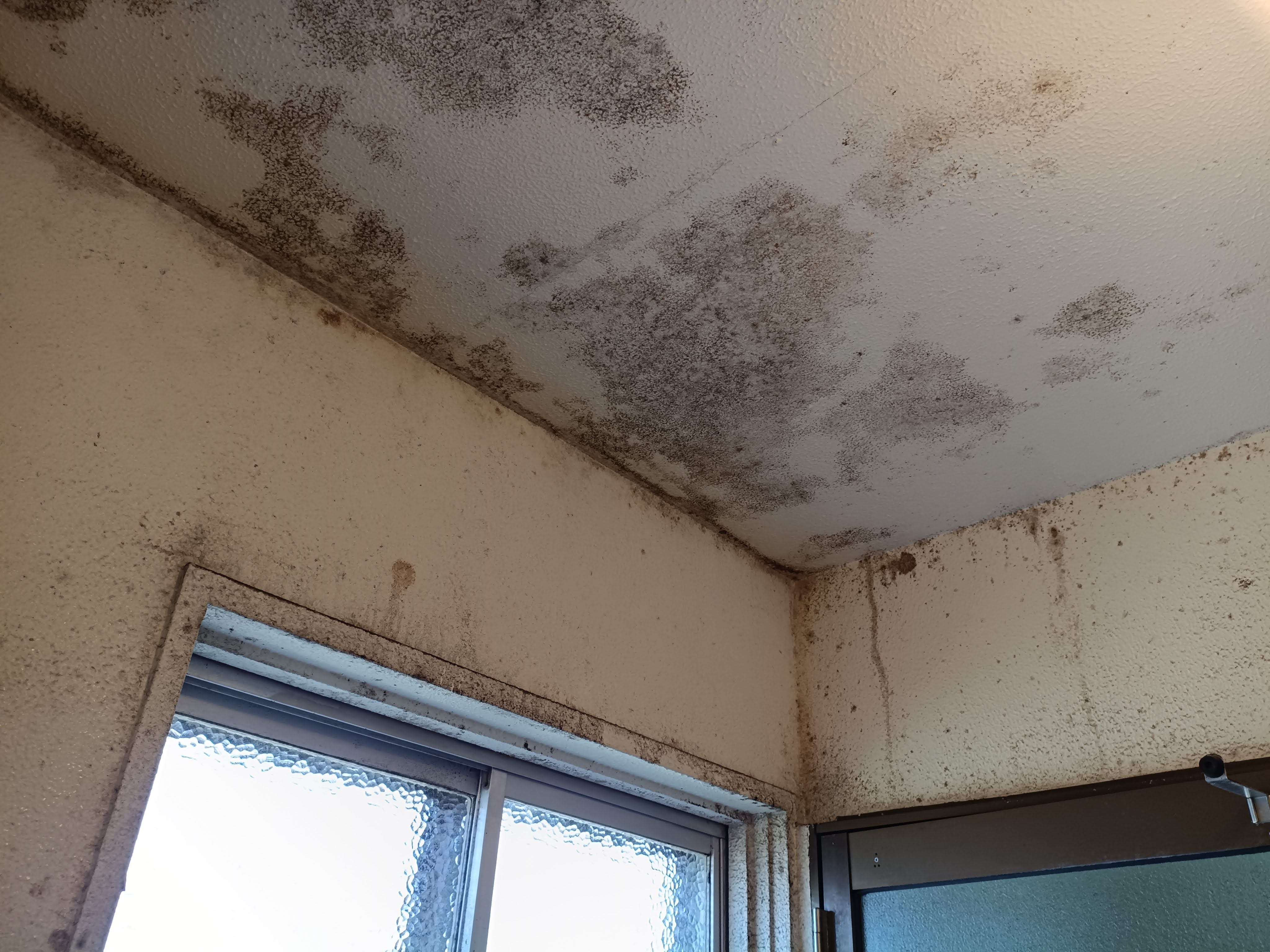 愛知県名古屋市港区の浴室・お風呂クリーニングの作業前1