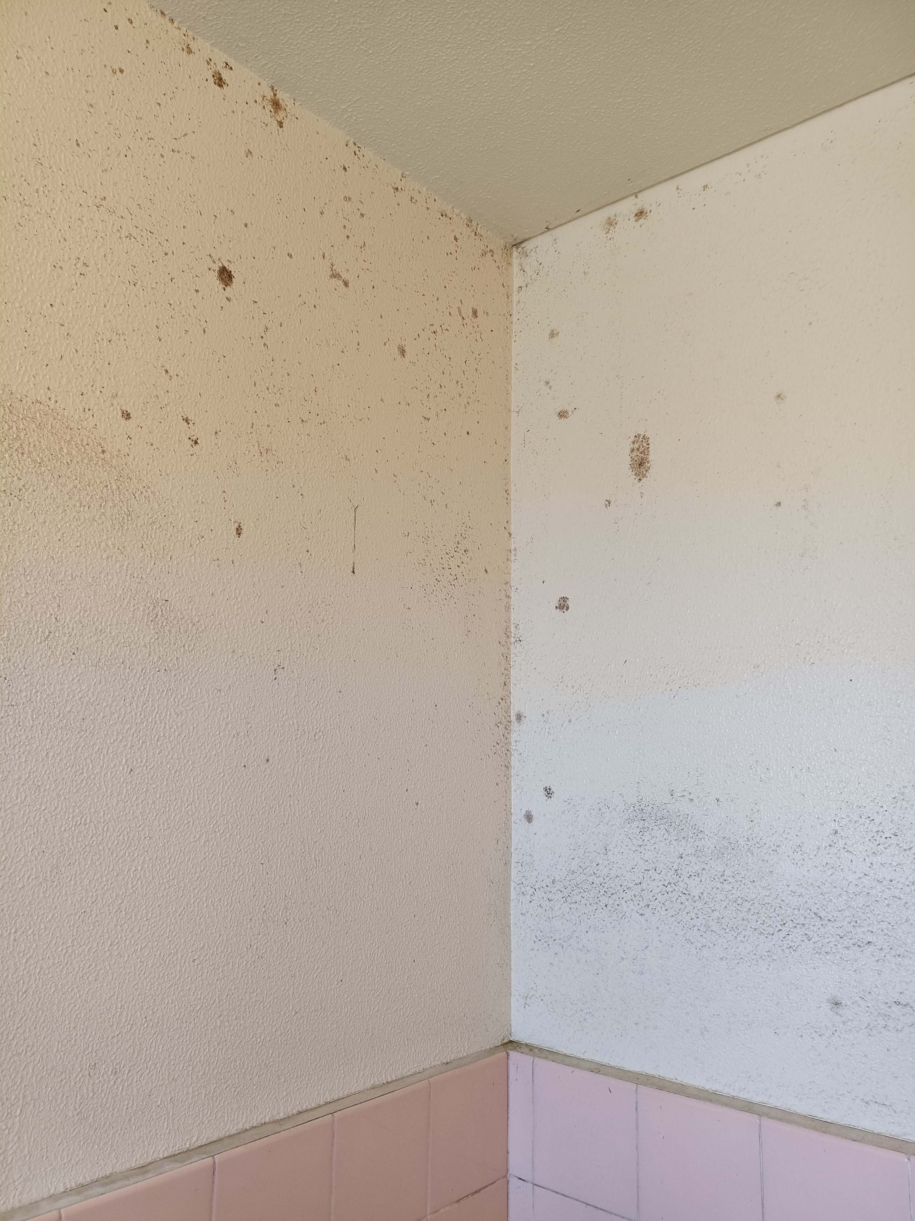 愛知県名古屋市港区の浴室・お風呂クリーニングの作業前2