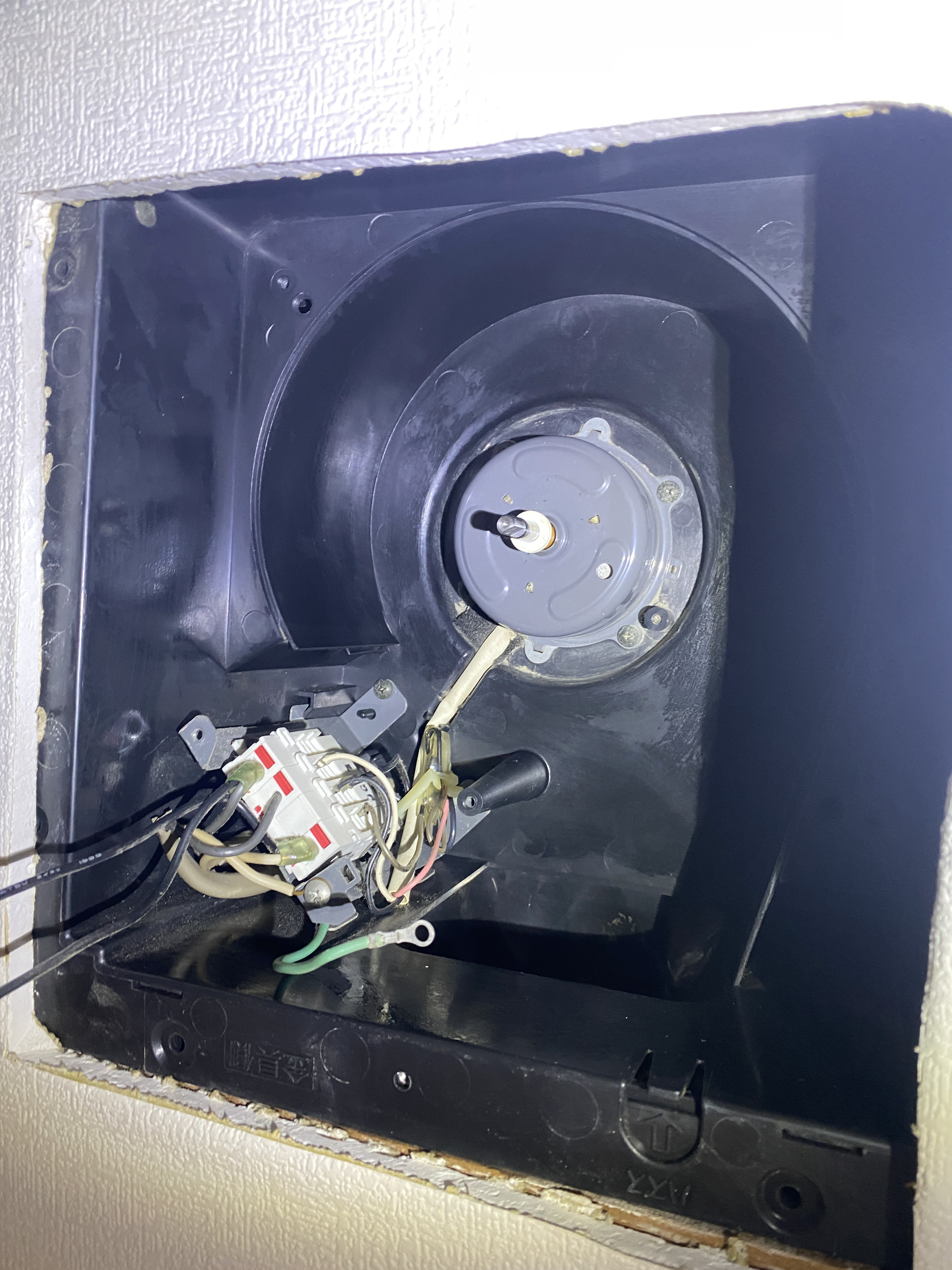 広島県広島市中区の店舗清掃の作業後3