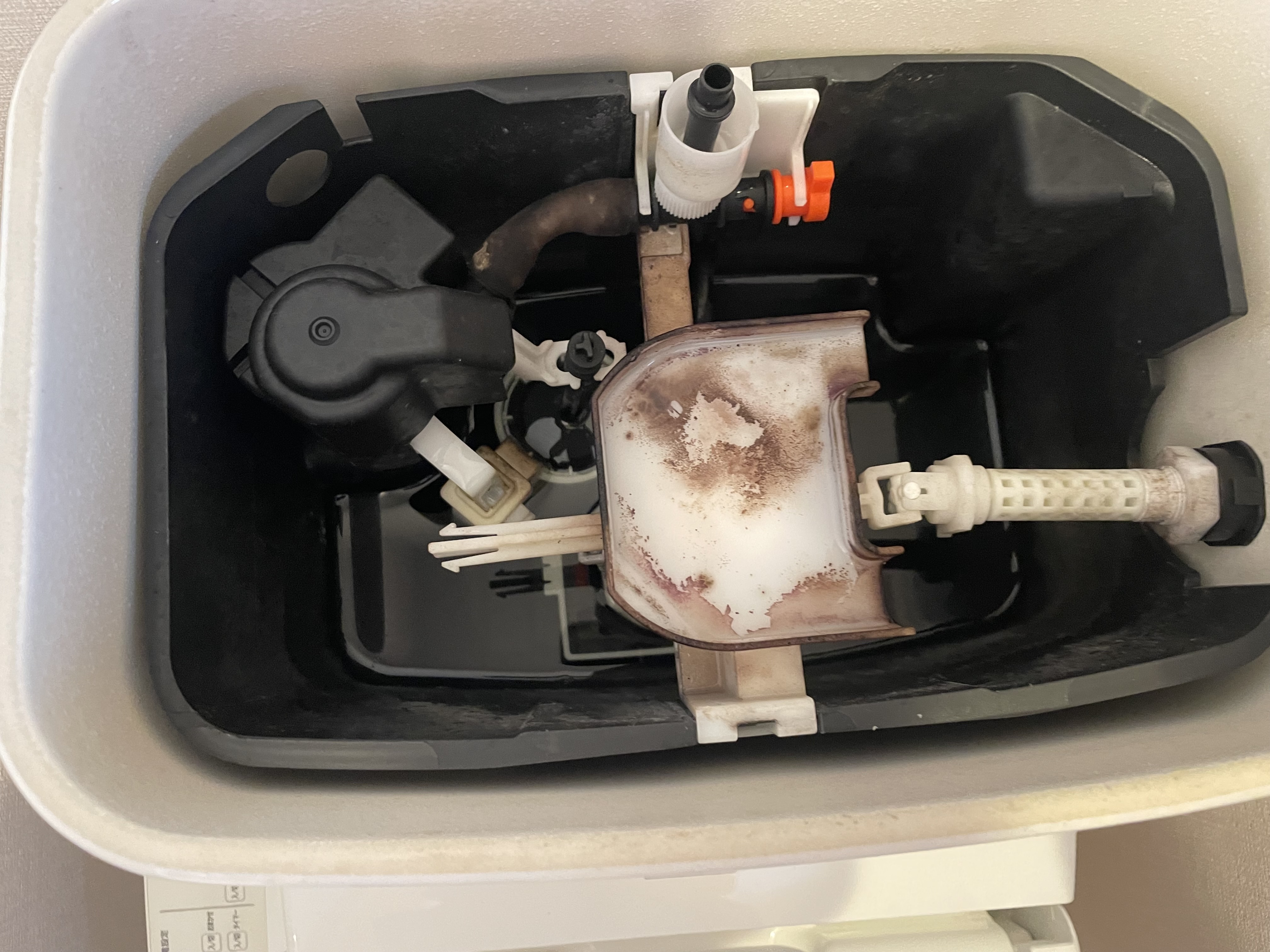 東京都小金井市のトイレクリーニングの作業前1