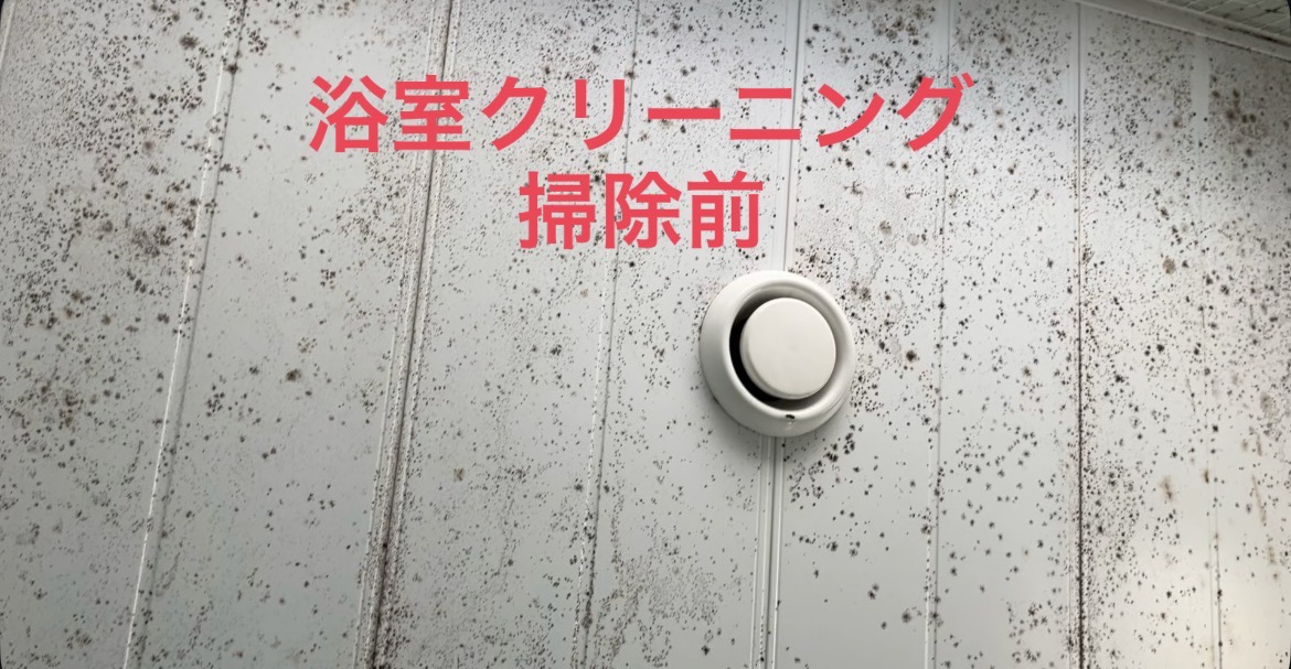 青森県弘前市青山の浴室・お風呂クリーニングの作業前1