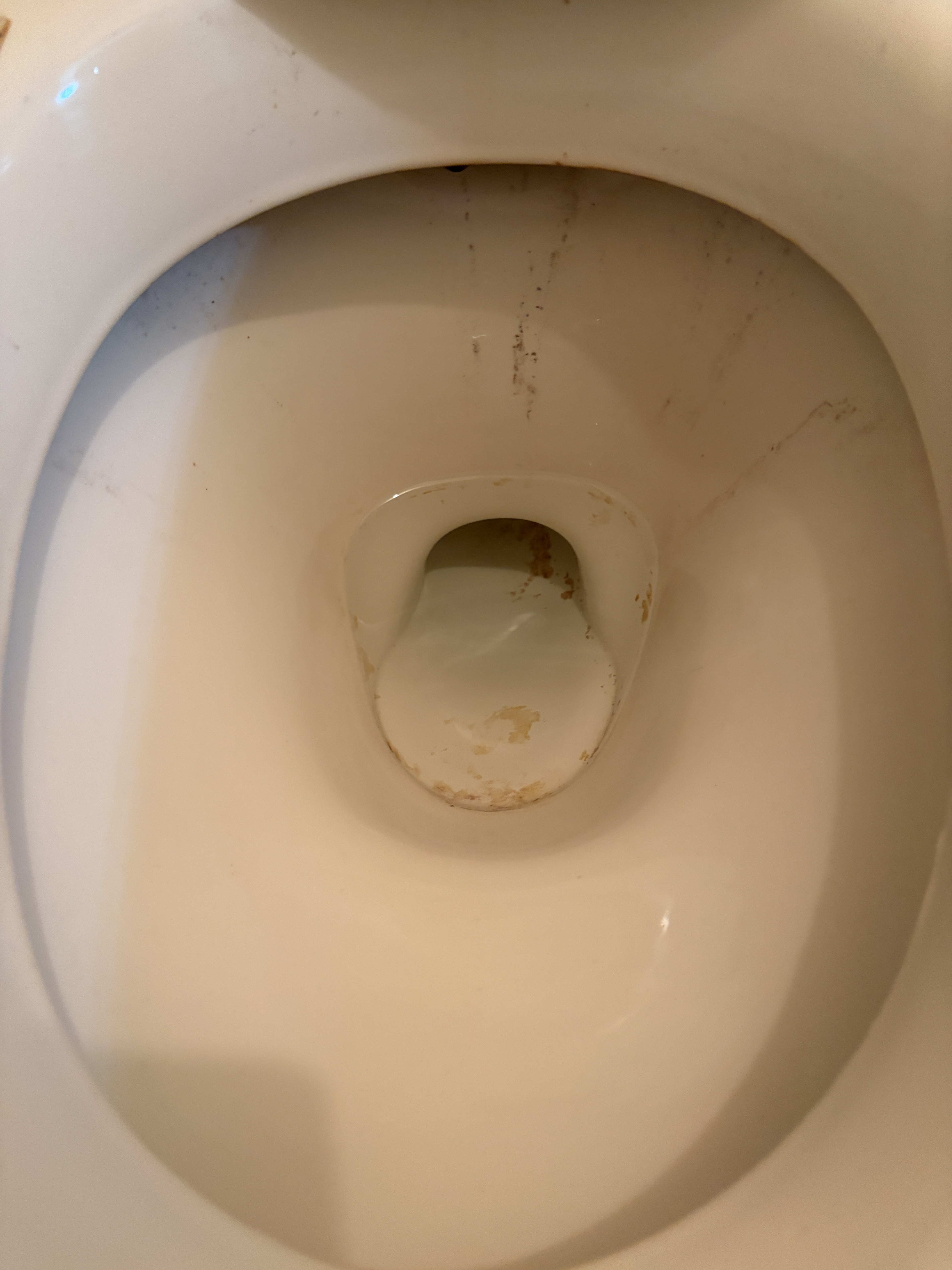 神奈川県相模原市緑区西橋本２丁目の賃貸住宅退去後の原状回復クリーニングの作業前1