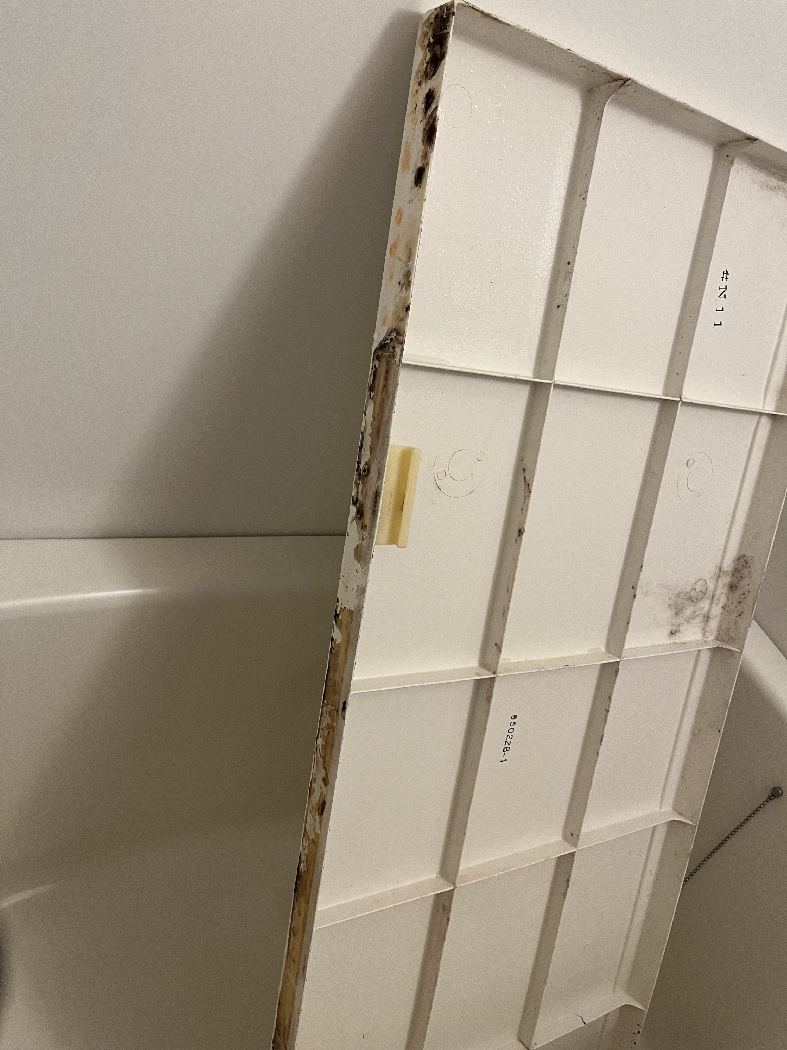 大阪府東大阪市の浴室・お風呂クリーニングの作業前1