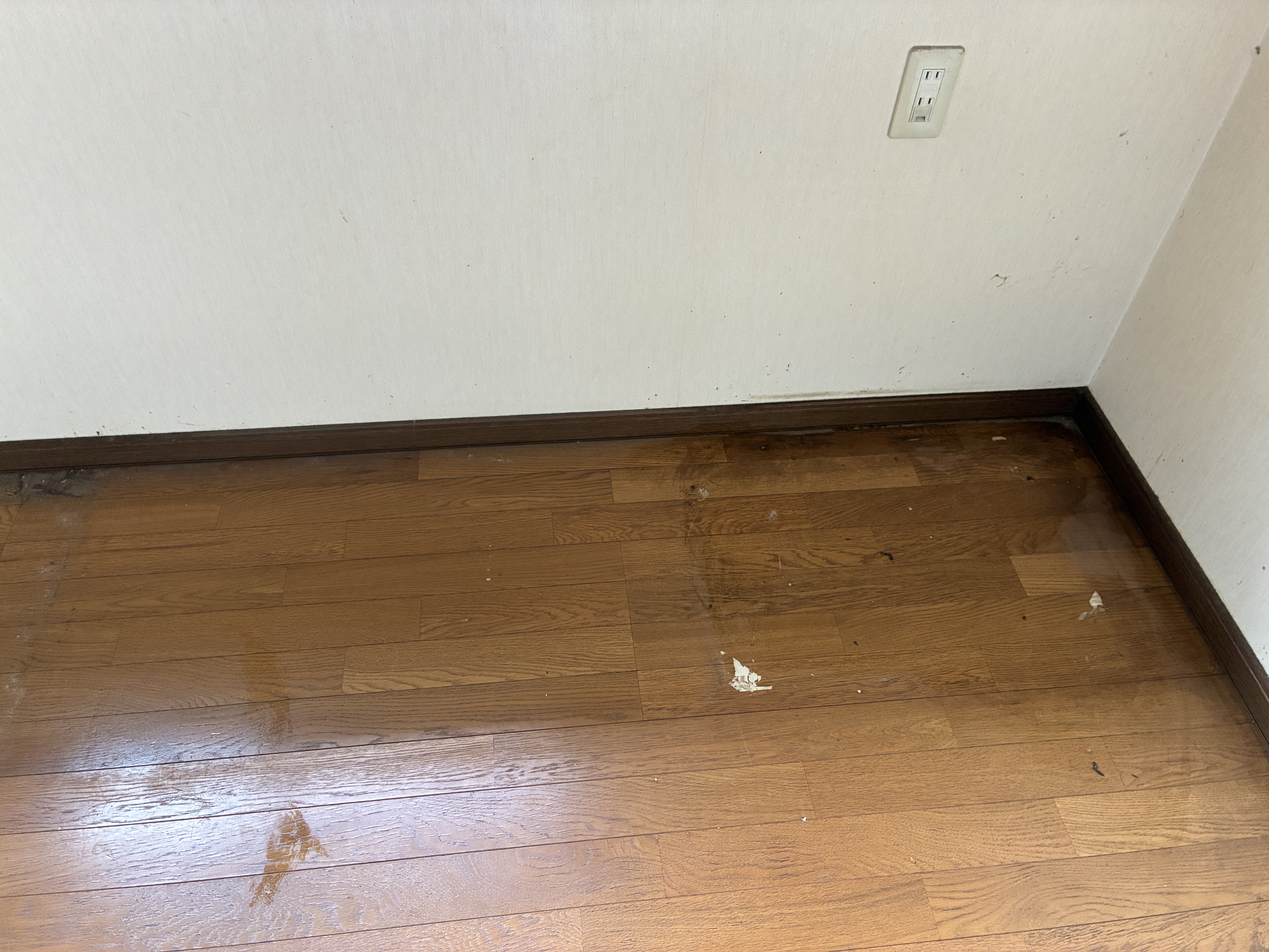 茨城県鹿嶋市の何でもわがまま定額サービスの作業前1