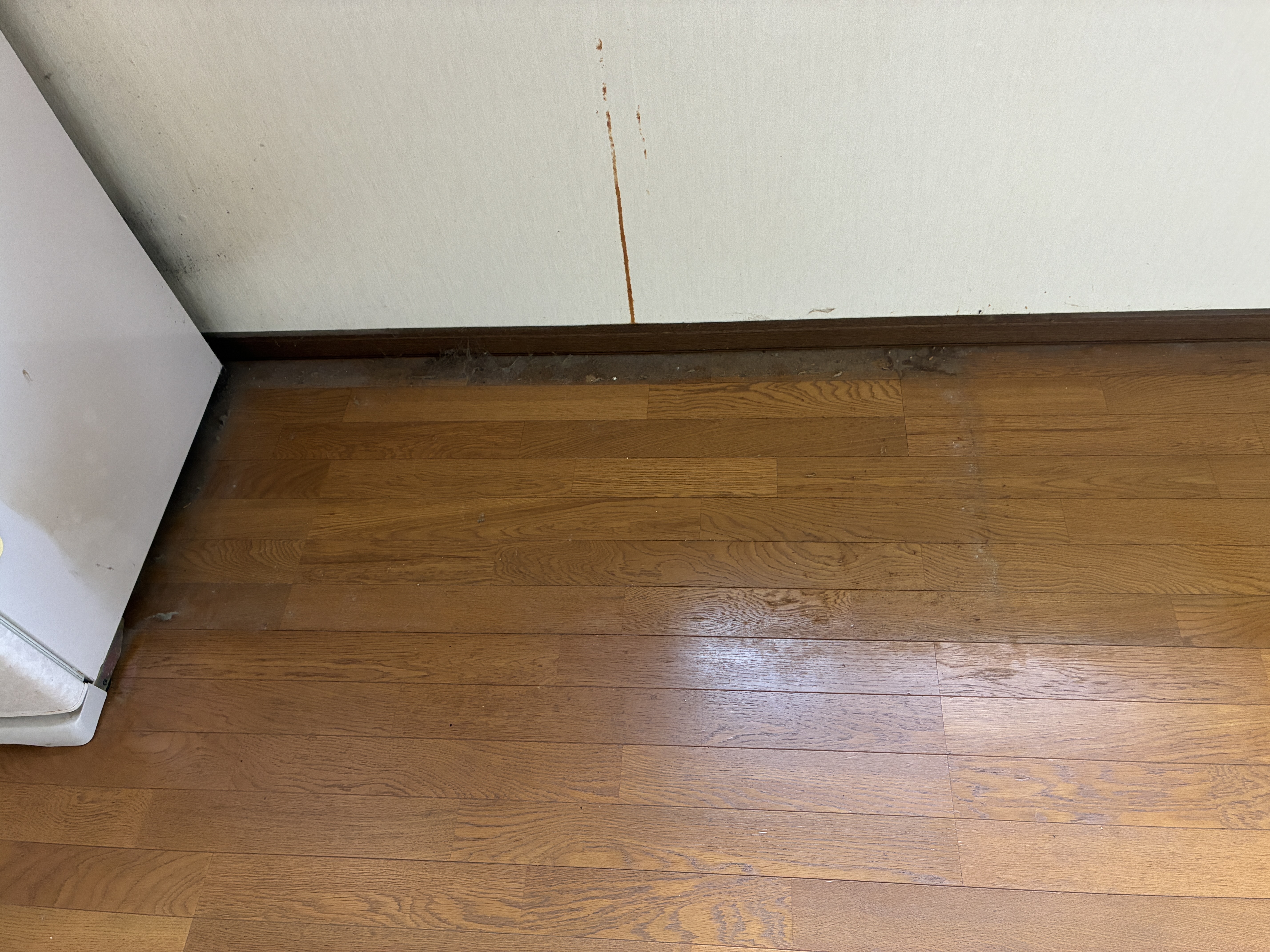 茨城県鹿嶋市の何でもわがまま定額サービスの作業前2