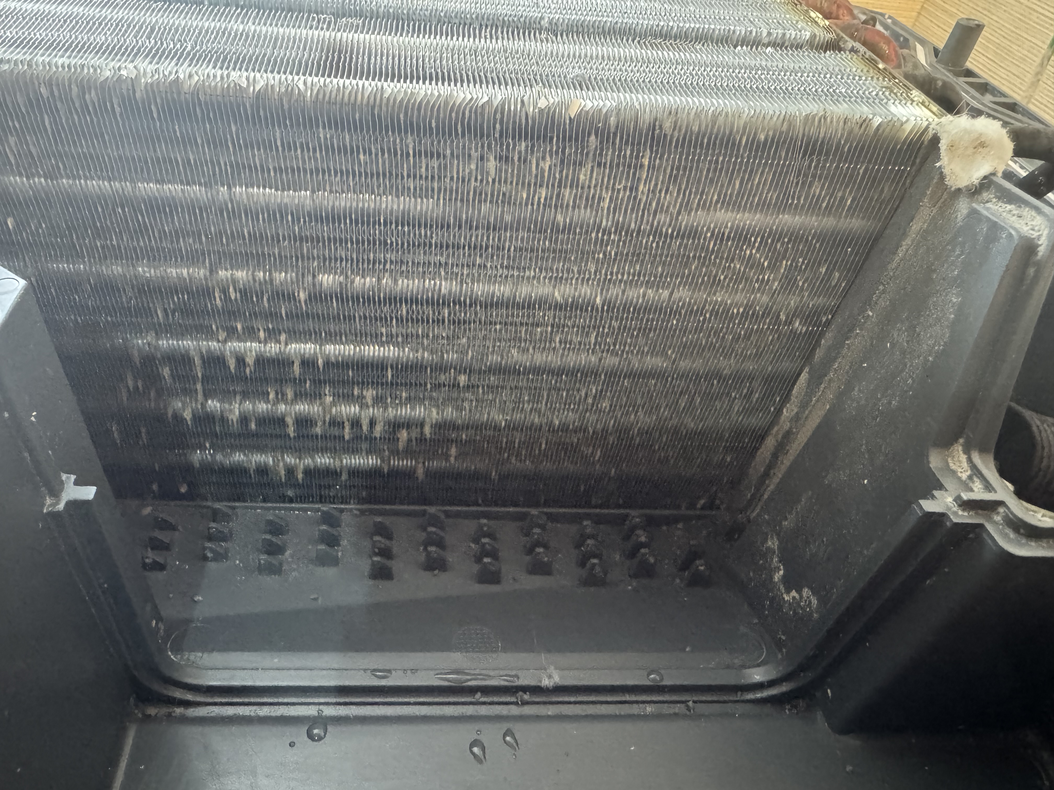 千葉県八千代市緑が丘西の洗濯機分解クリーニングの作業後1