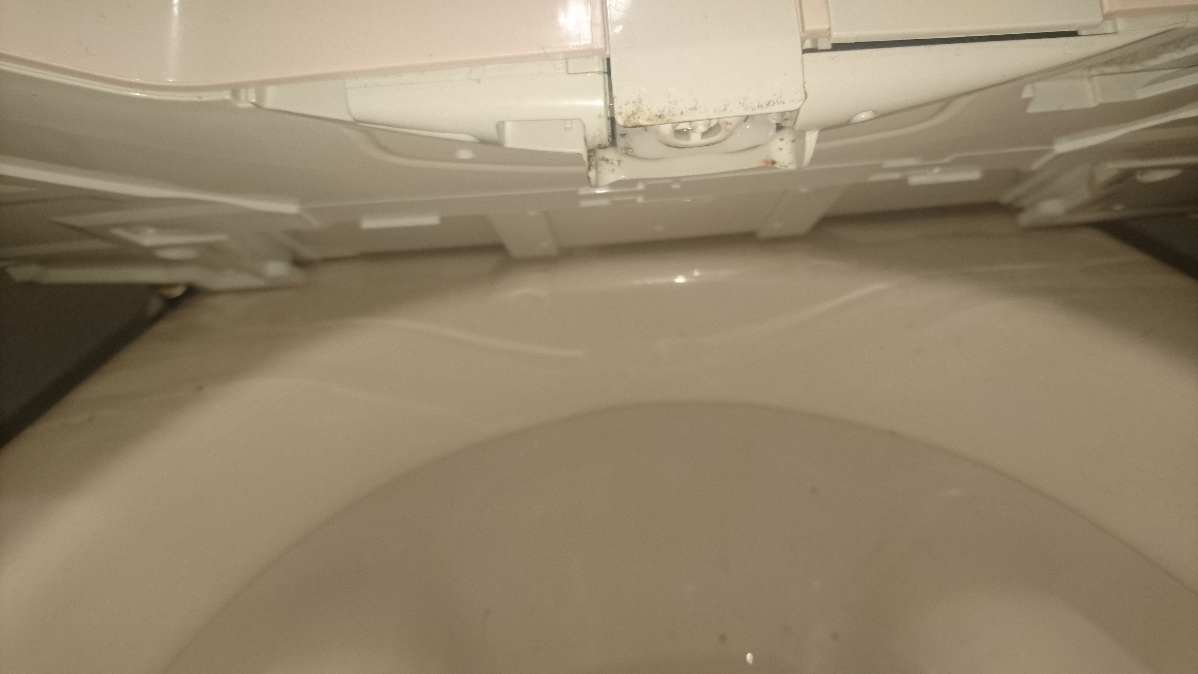 東京都国分寺市のトイレクリーニングの作業前1