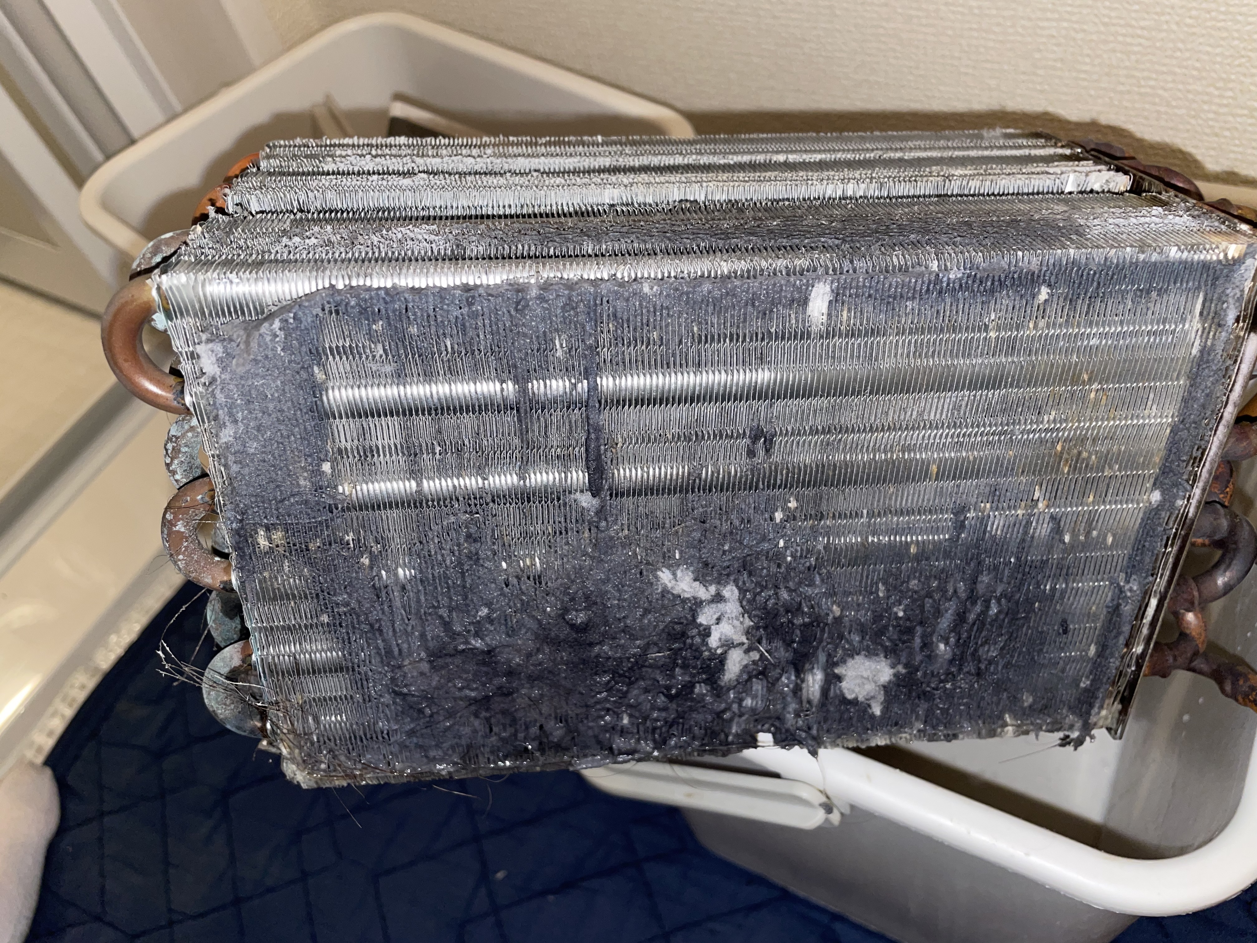 愛知県名古屋市中村区佐古前町の洗濯機分解クリーニングの作業前1