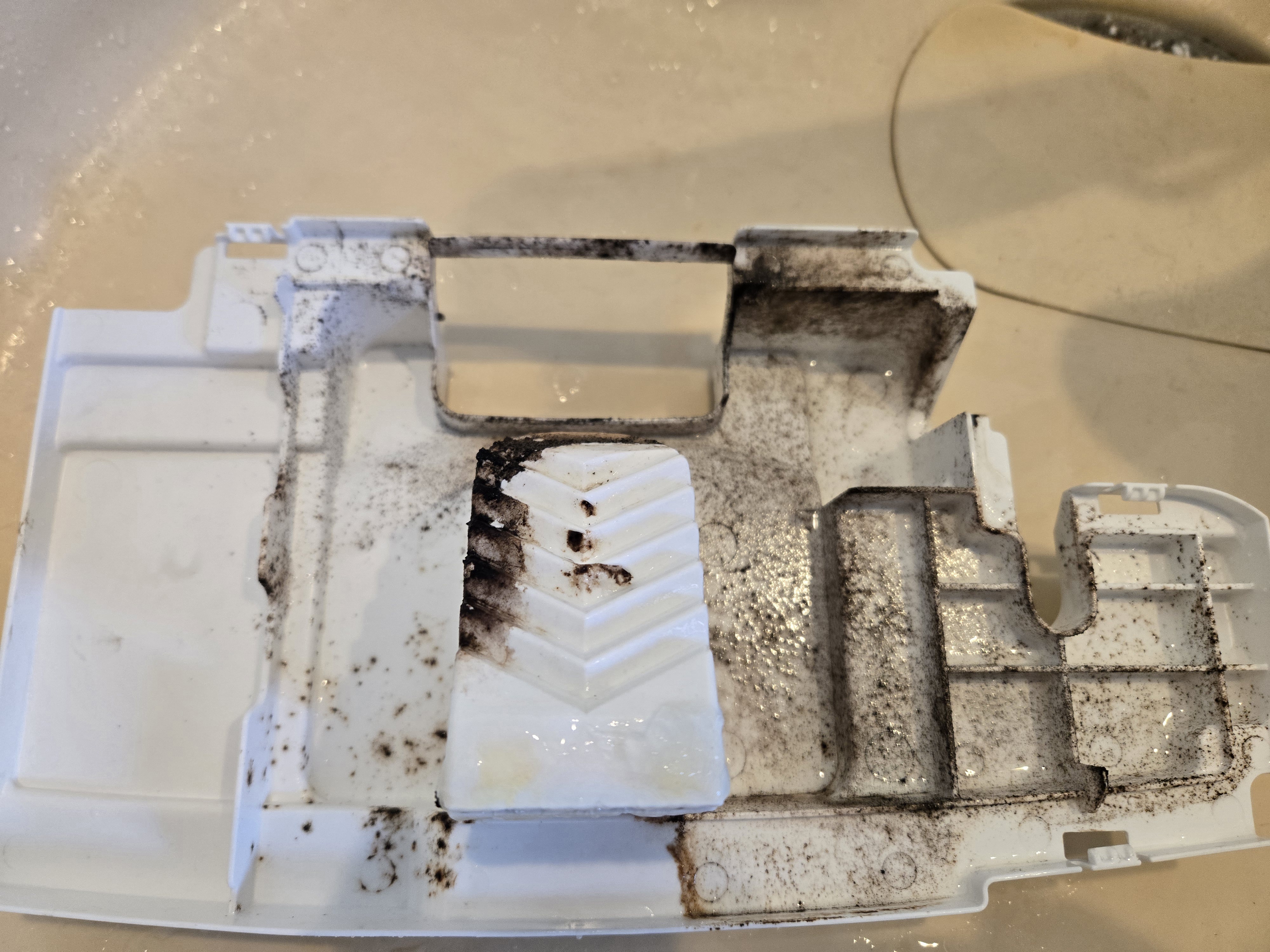 東京都調布市のトイレクリーニングの作業前1