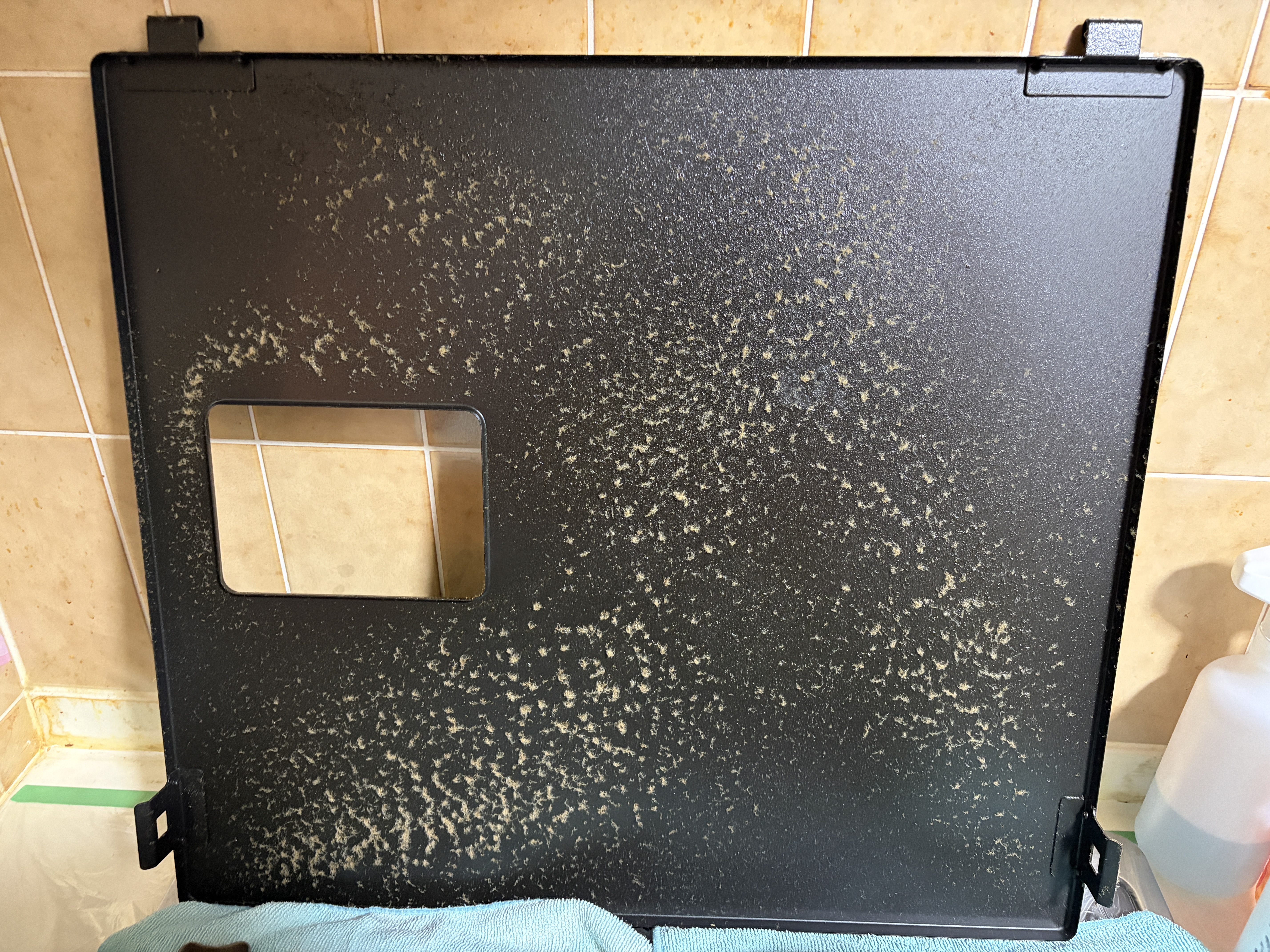 神奈川県横浜市旭区川井本町のレンジフードクリーニングの作業前3