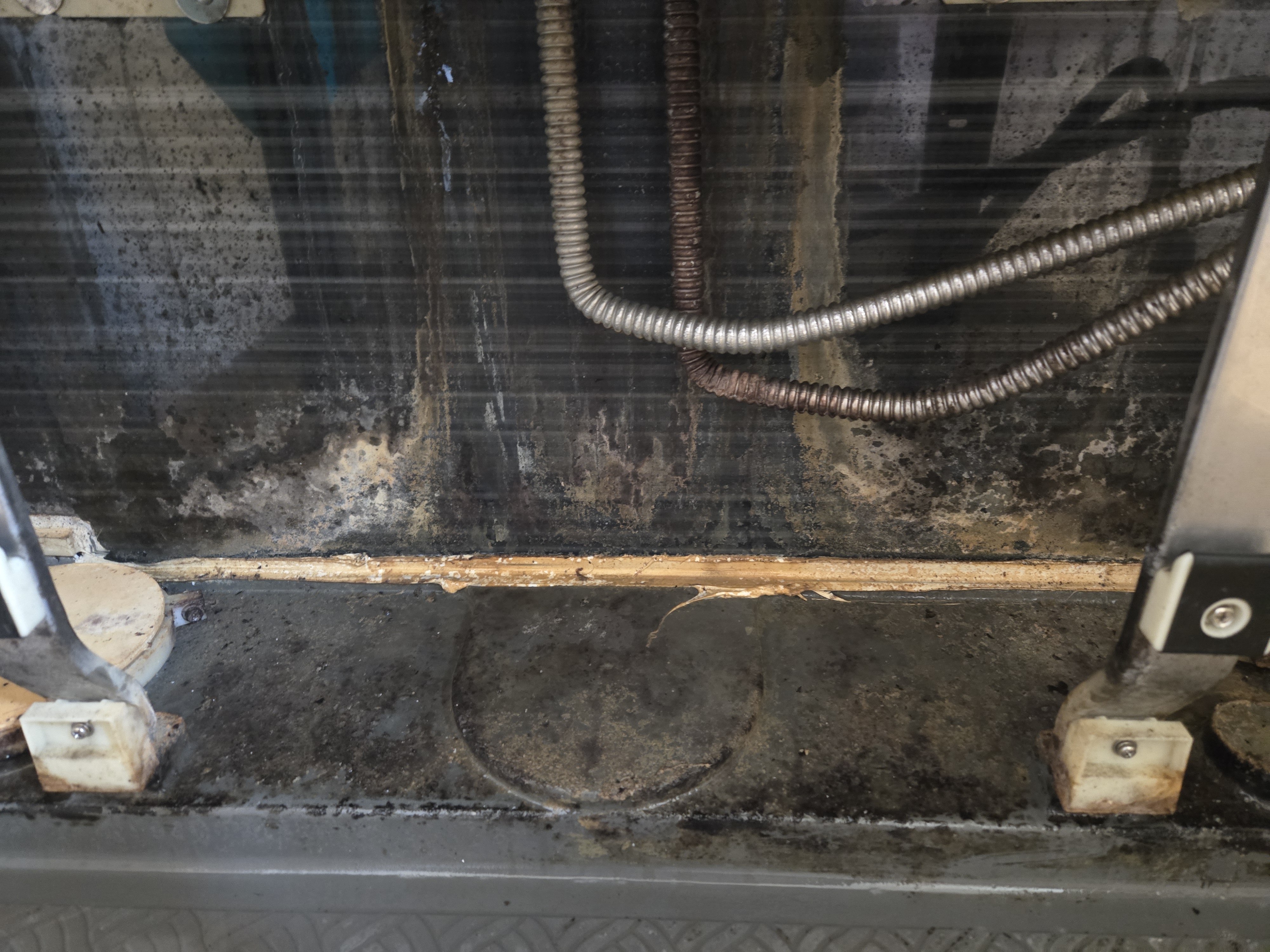 東京都調布市の浴室・お風呂クリーニングの作業前1