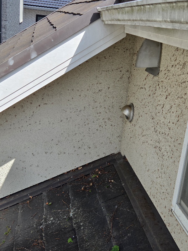 大阪府箕面市桜ヶ丘の外壁高圧洗浄の作業後1