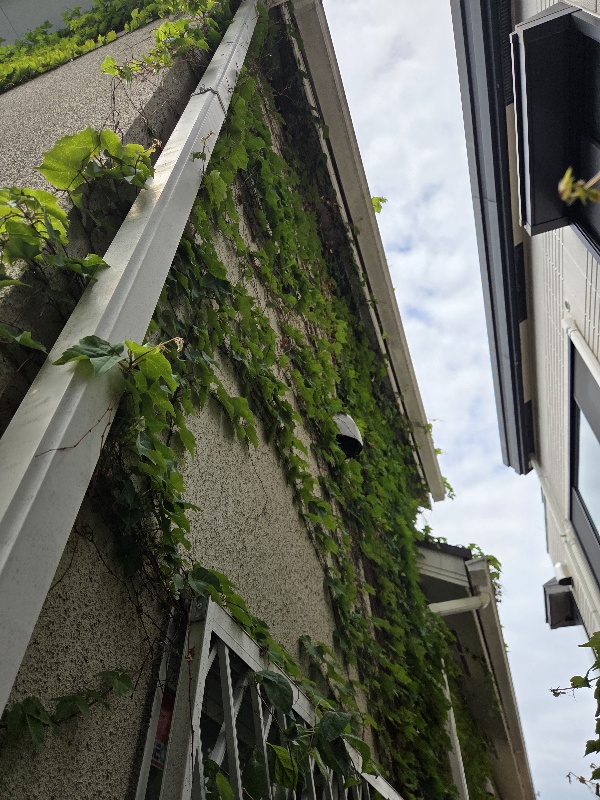 大阪府箕面市桜ヶ丘の外壁高圧洗浄の作業前3