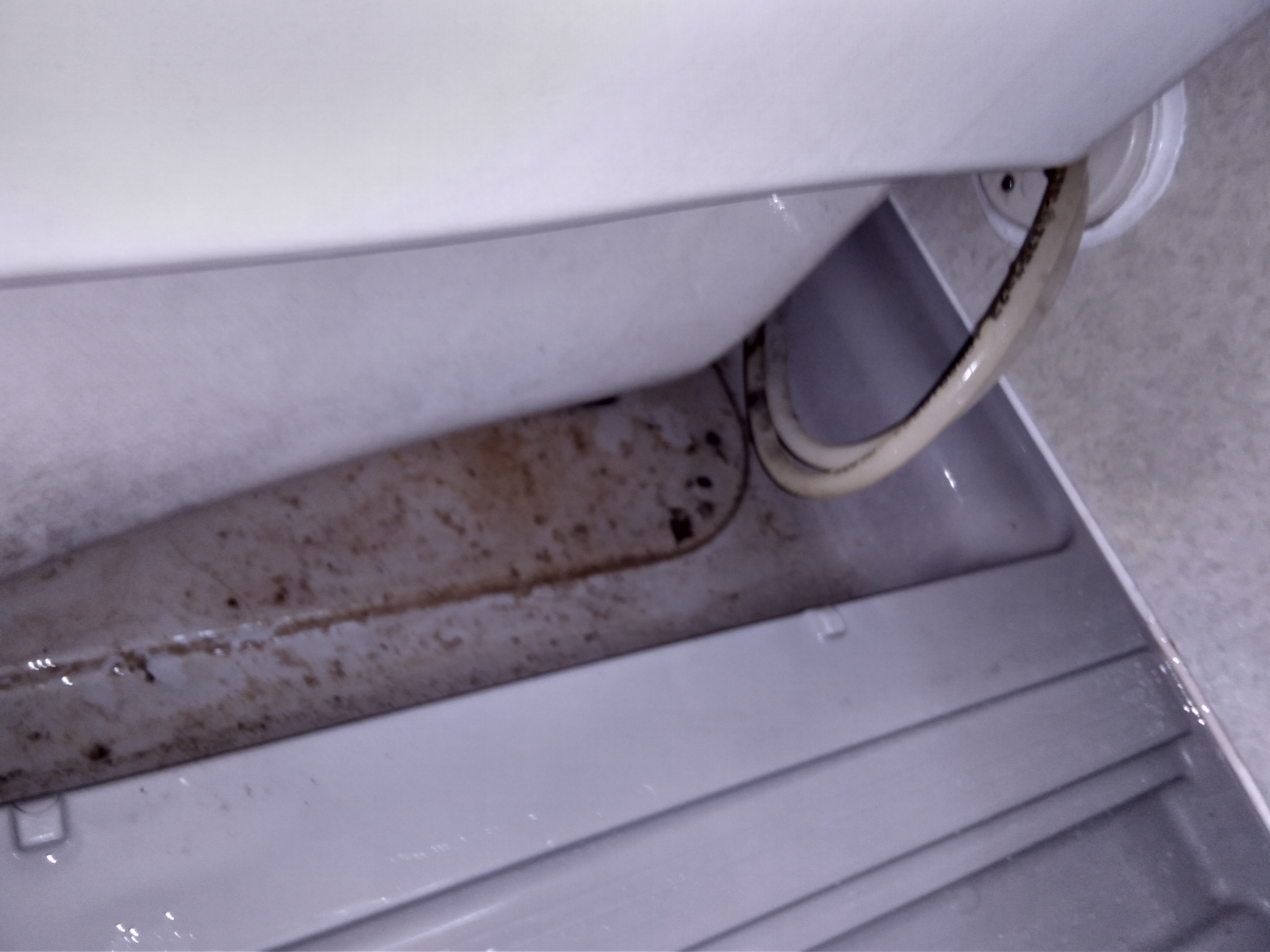 兵庫県たつの市の浴室・お風呂クリーニングの作業前1