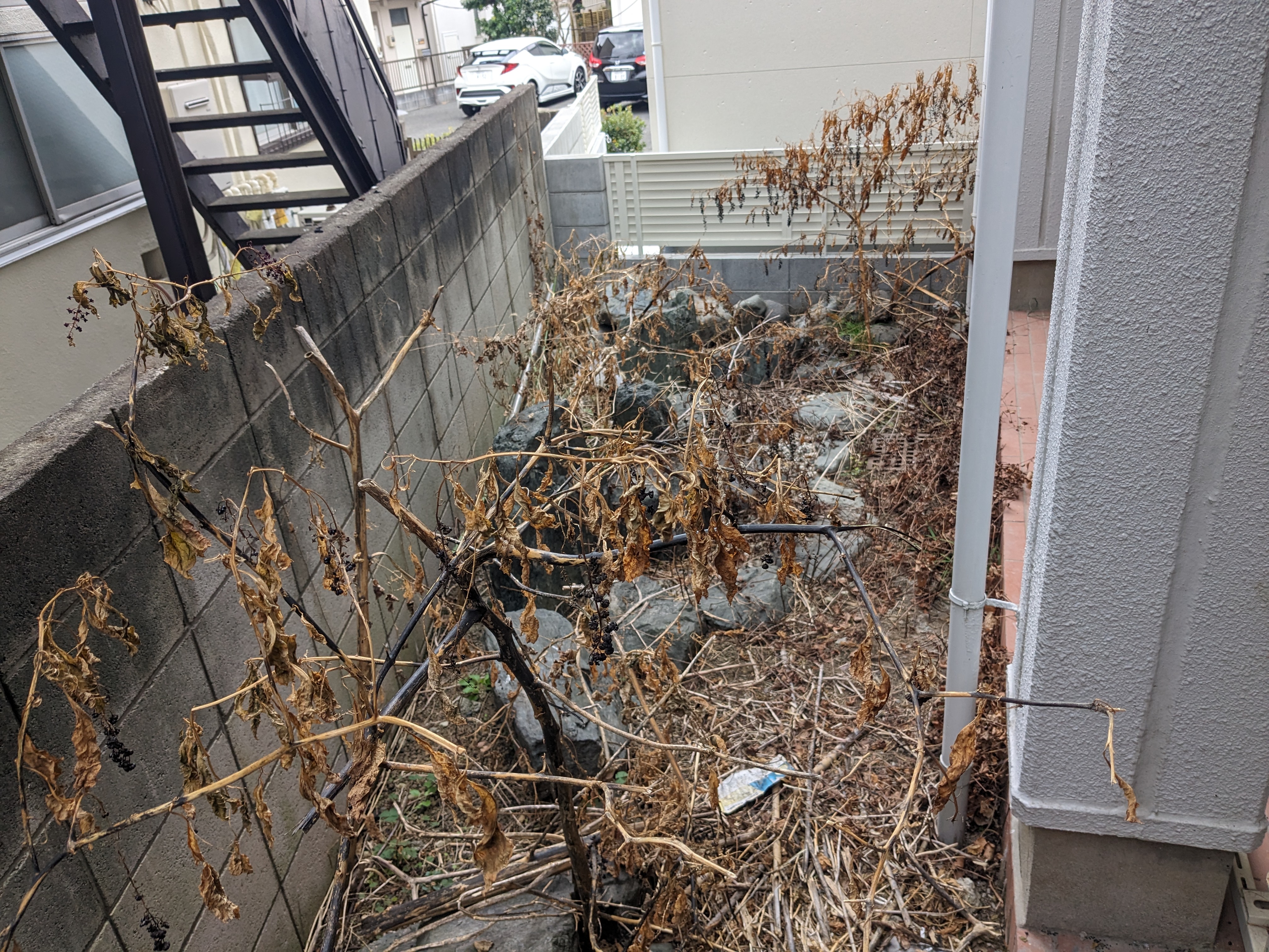 東京都江東区の何でもわがまま定額サービスの作業前1