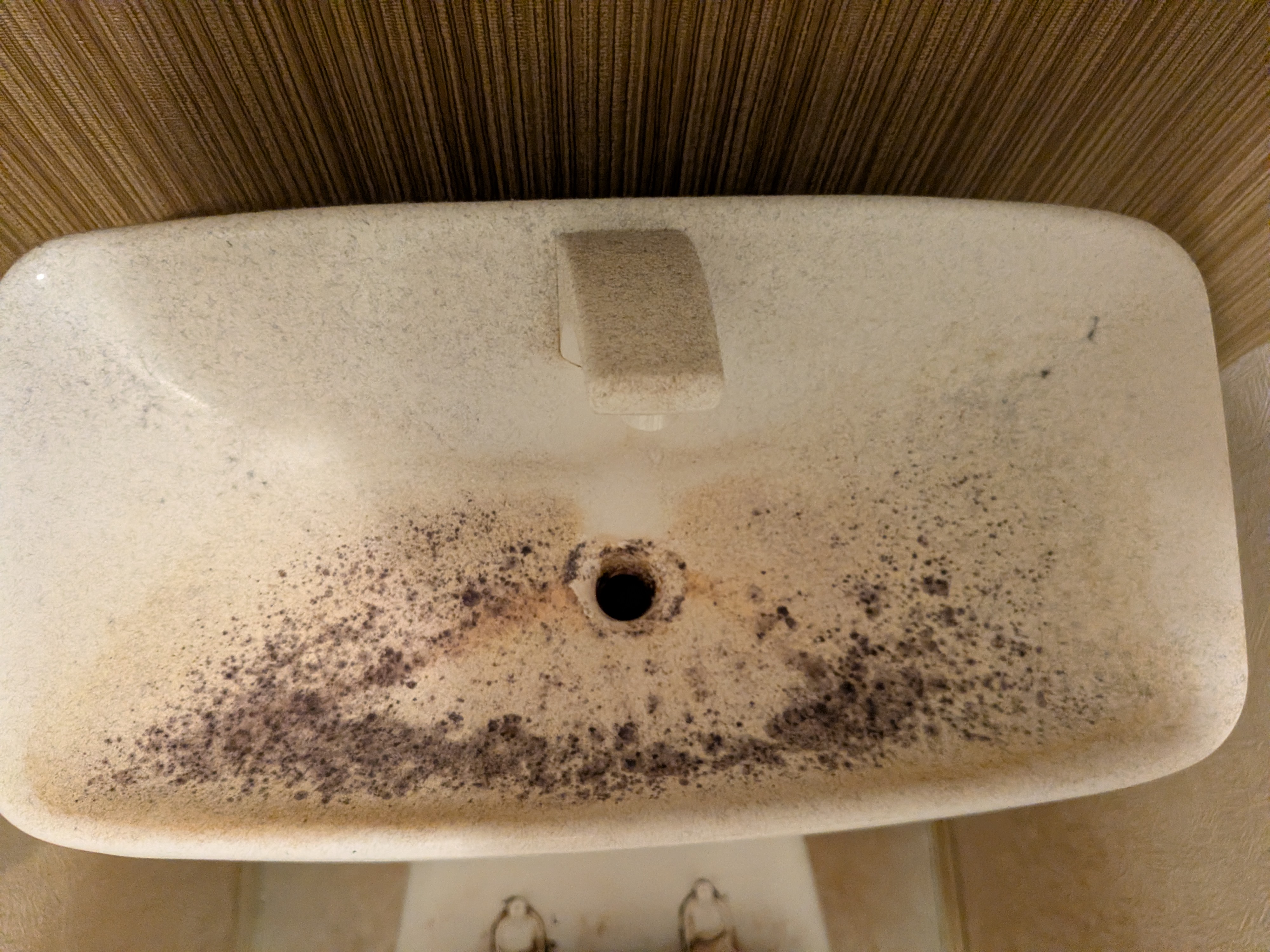 神奈川県横浜市磯子区中原のトイレクリーニングの作業前2