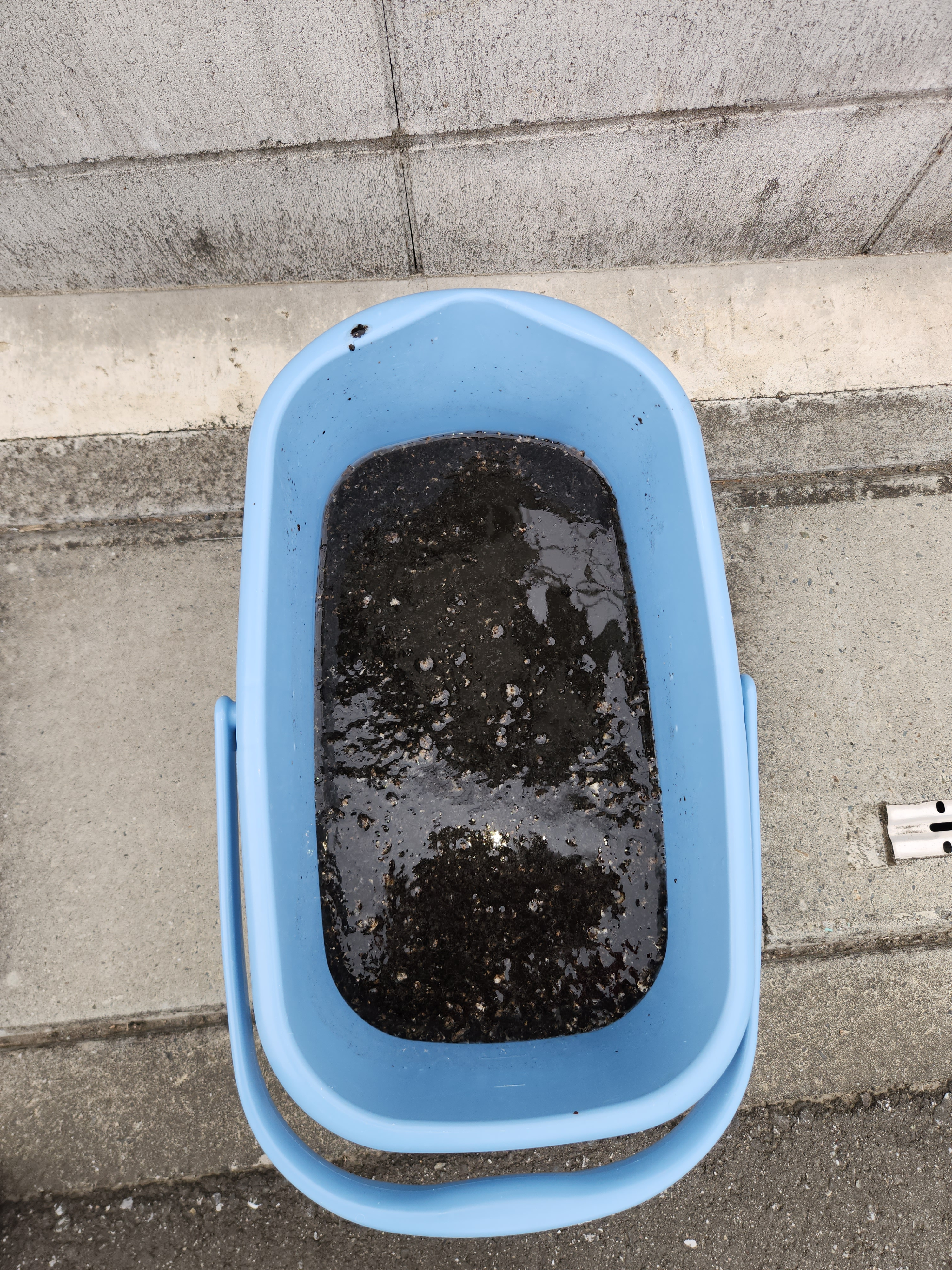 埼玉県鴻巣市の壁掛けエアコンの作業後1