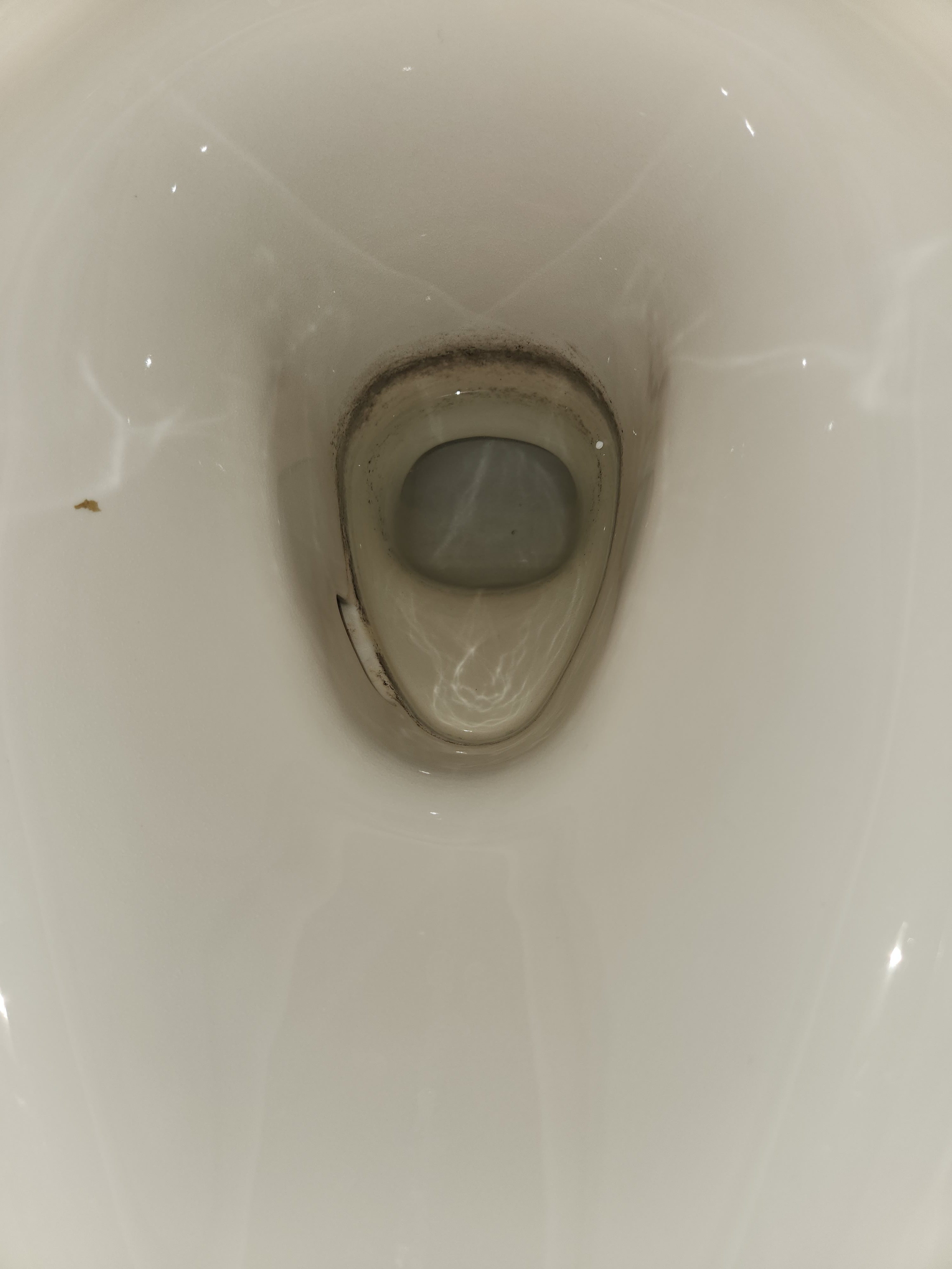 埼玉県鴻巣市のトイレクリーニングの作業前1
