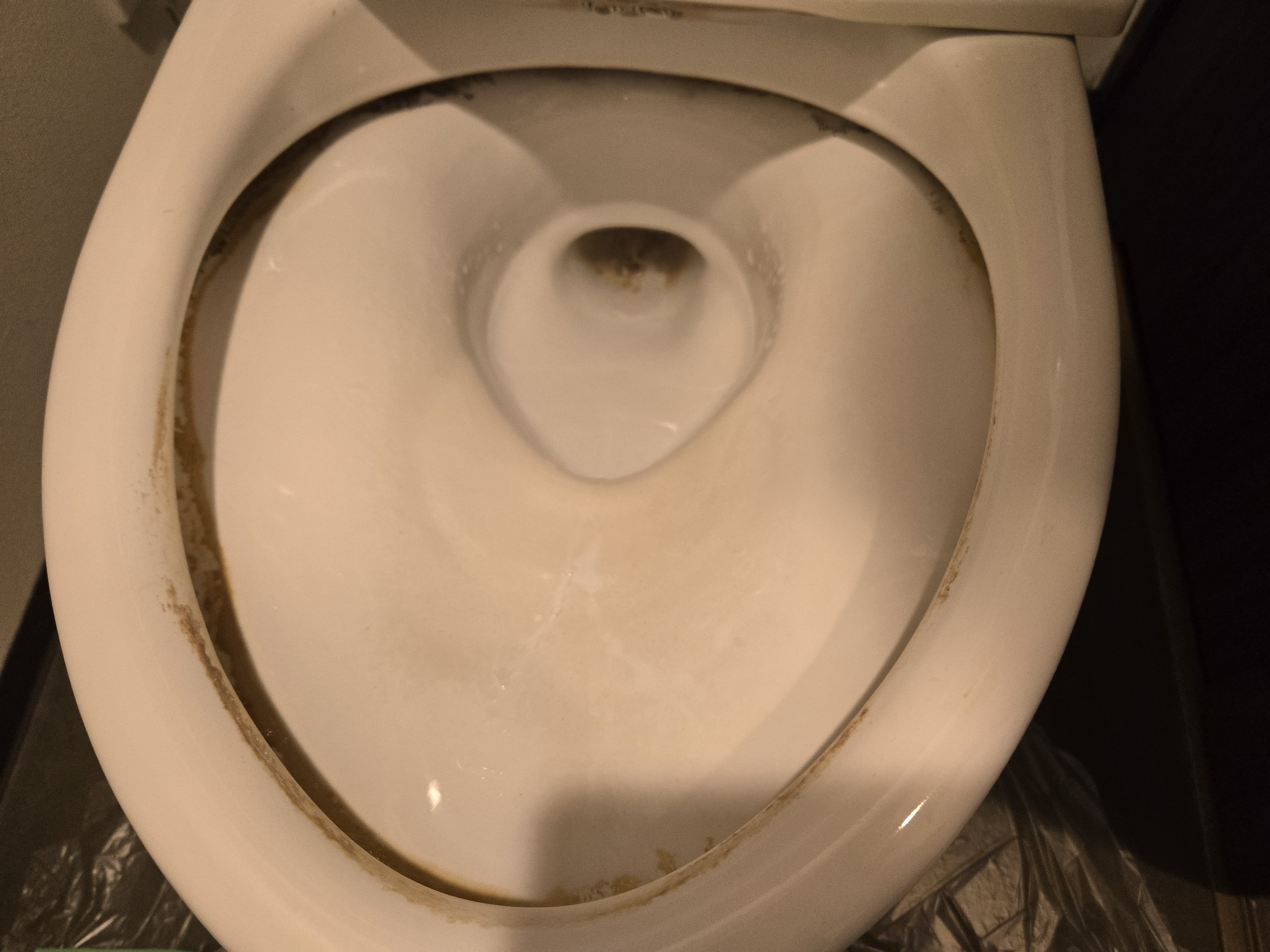 東京都小平市のトイレクリーニングの作業前1