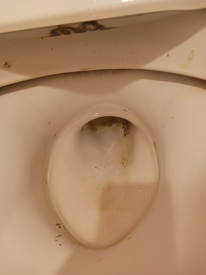 神奈川県横浜市保土ケ谷区のトイレクリーニングの作業前1