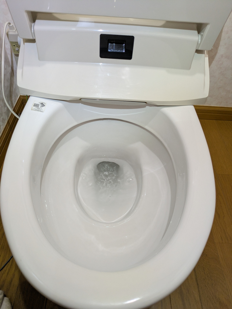 埼玉県さいたま市見沼区東宮下のトイレクリーニングの作業後3