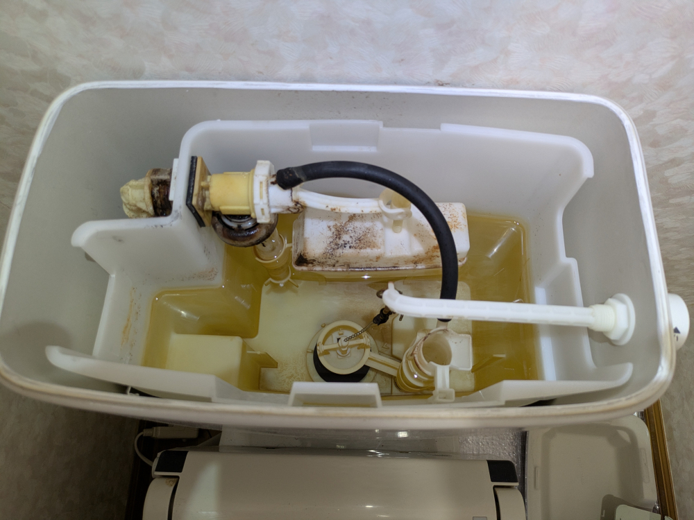 埼玉県さいたま市見沼区東宮下のトイレクリーニングの作業前2
