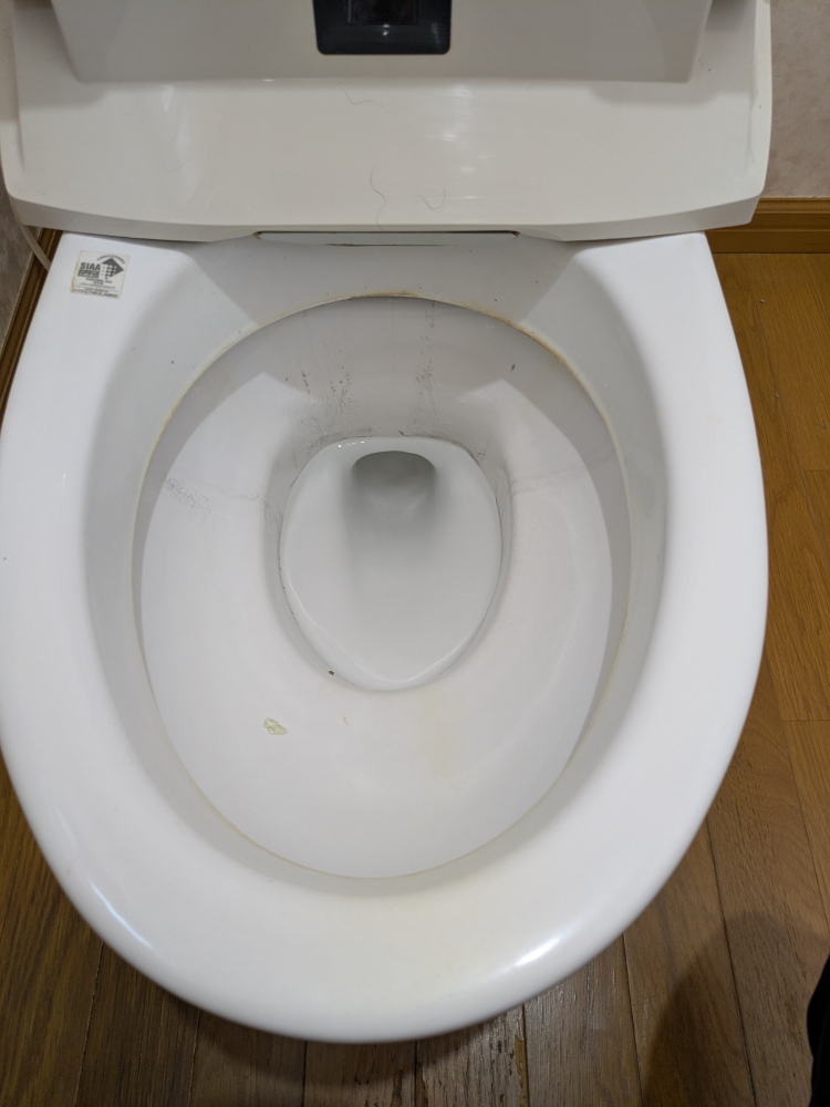埼玉県さいたま市見沼区東宮下のトイレクリーニングの作業前3