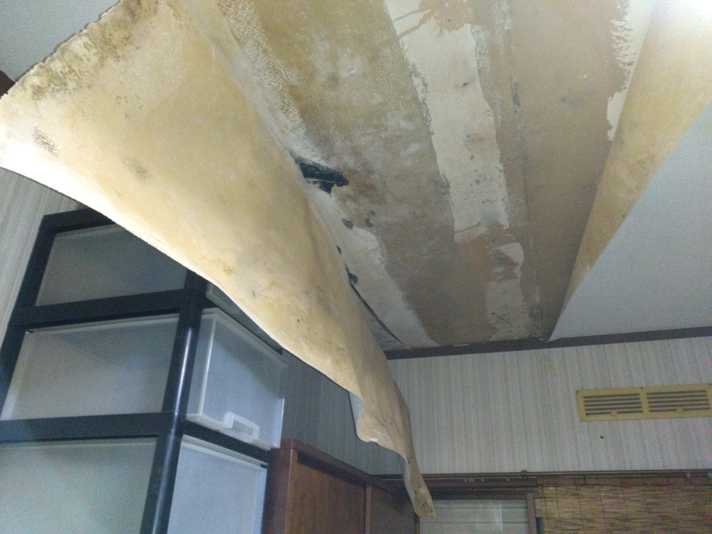 京都府与謝郡与謝野町四辻の何でもわがまま定額サービスの作業前1