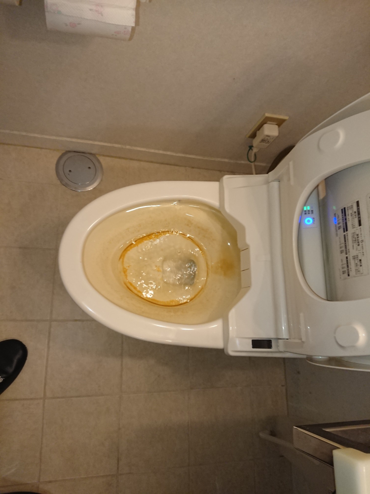 京都府京都市左京区のトイレクリーニングの作業前2