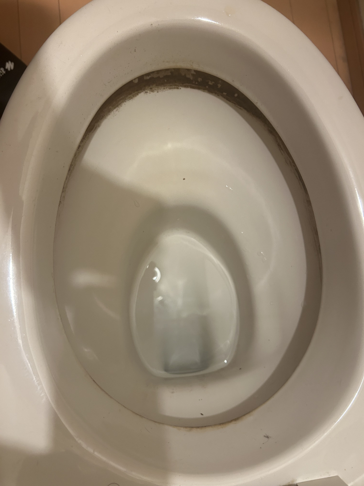 千葉県松戸市松戸のトイレクリーニングの作業前1